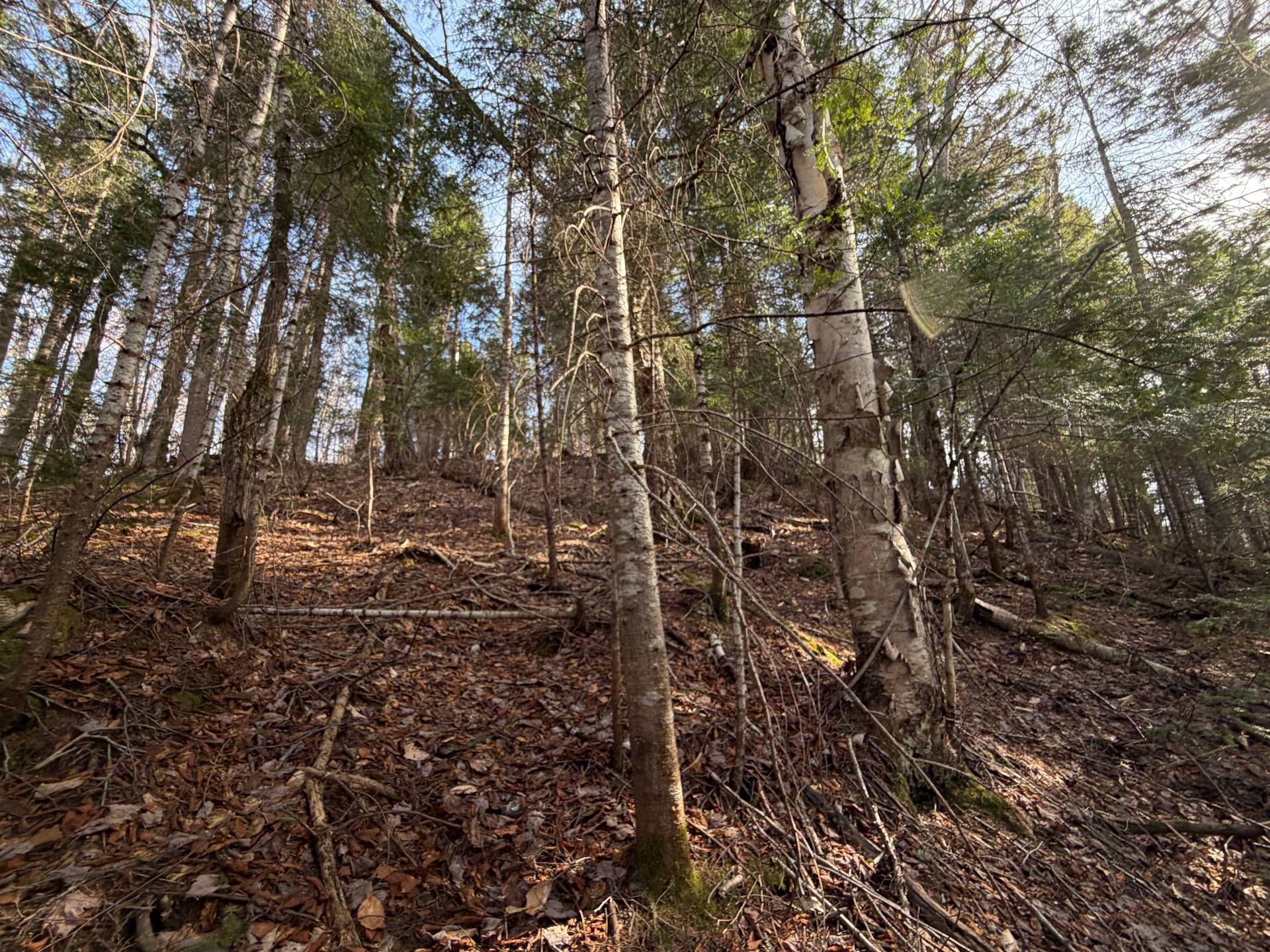 Land/Lot
