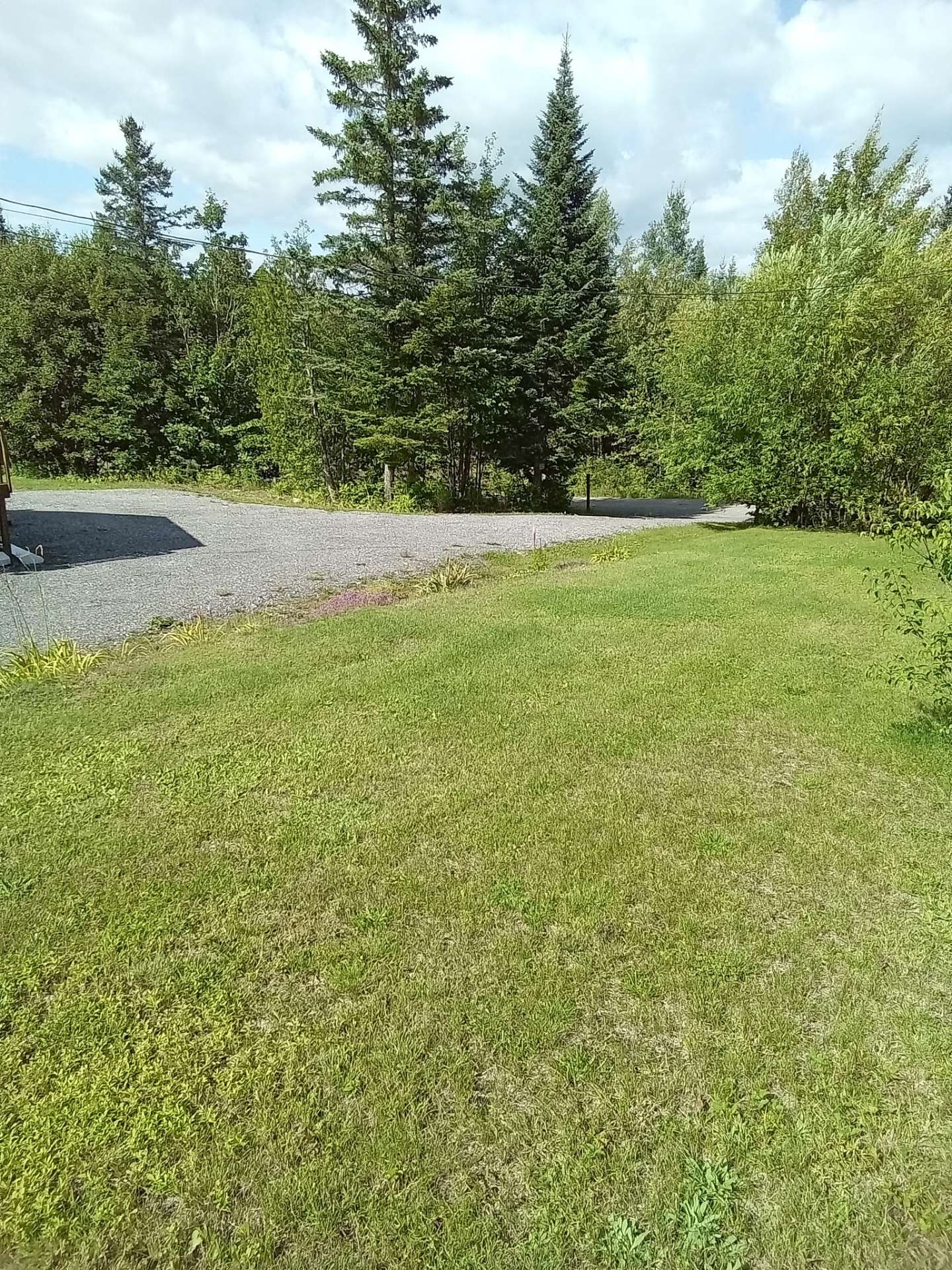 Entrée sur le terrain en été