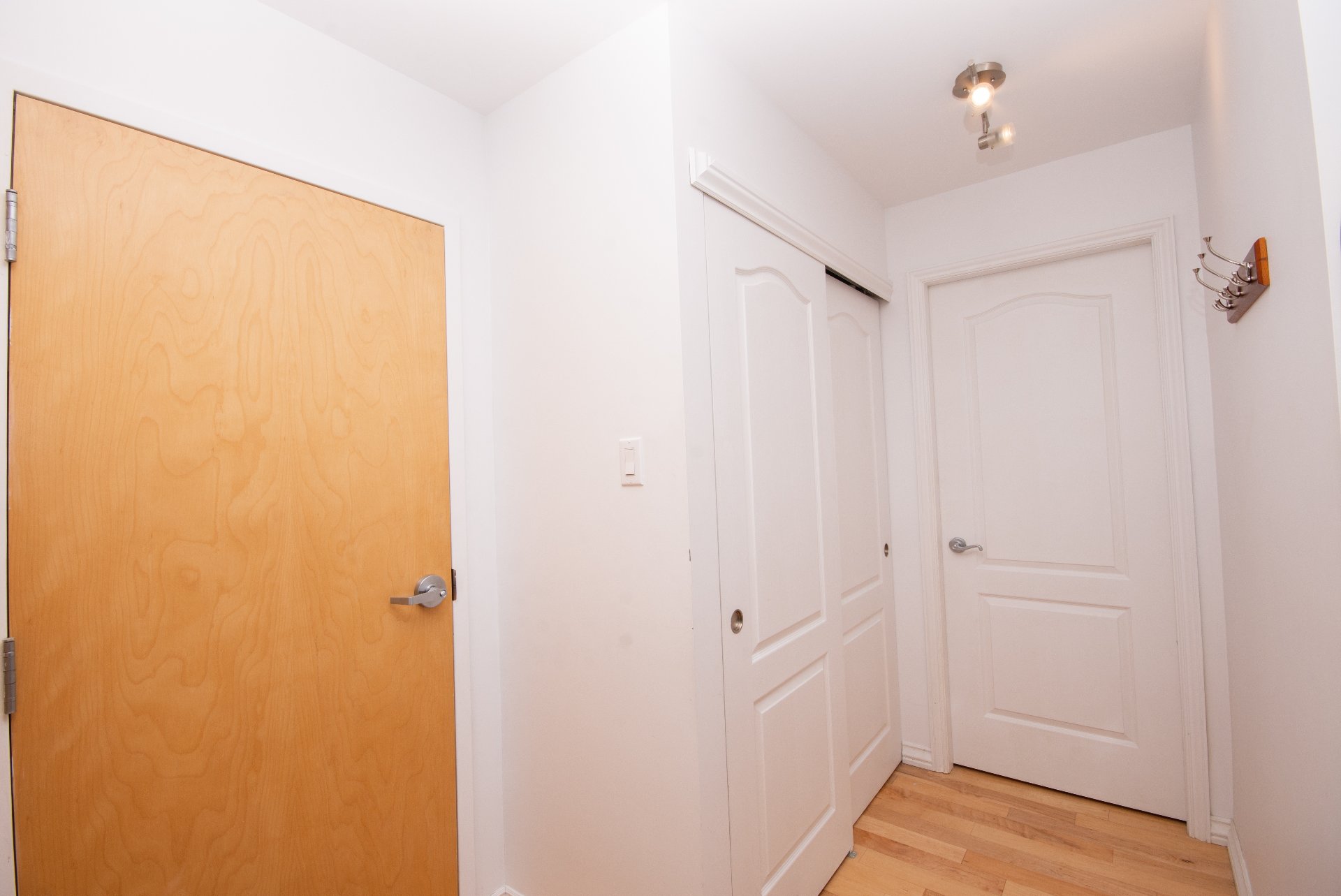 Hall d'entrée/Vestibule