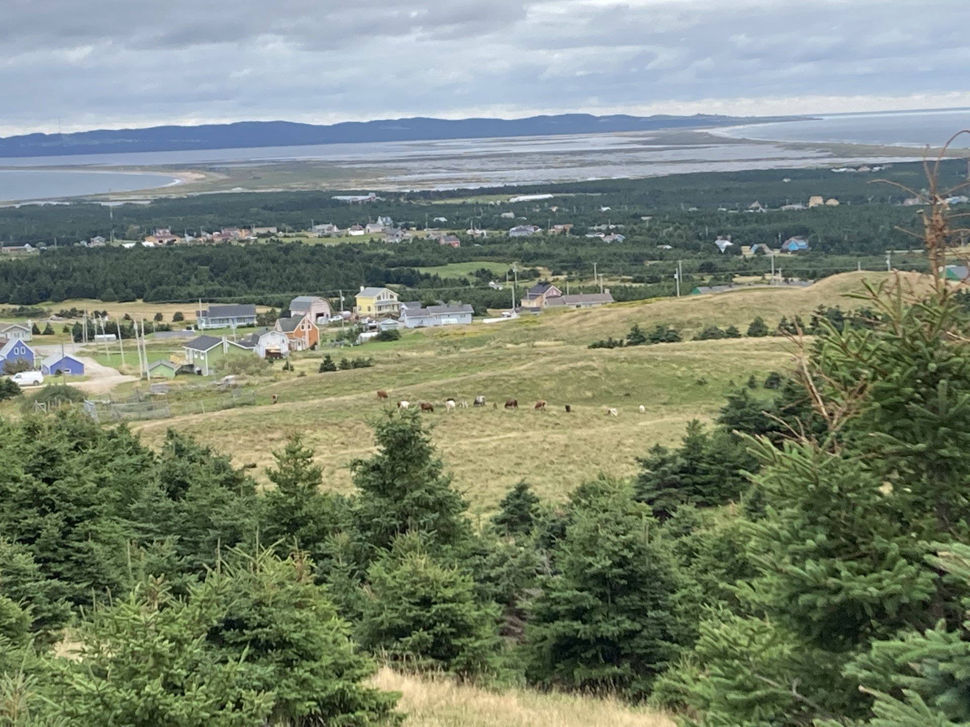 Land/Lot
