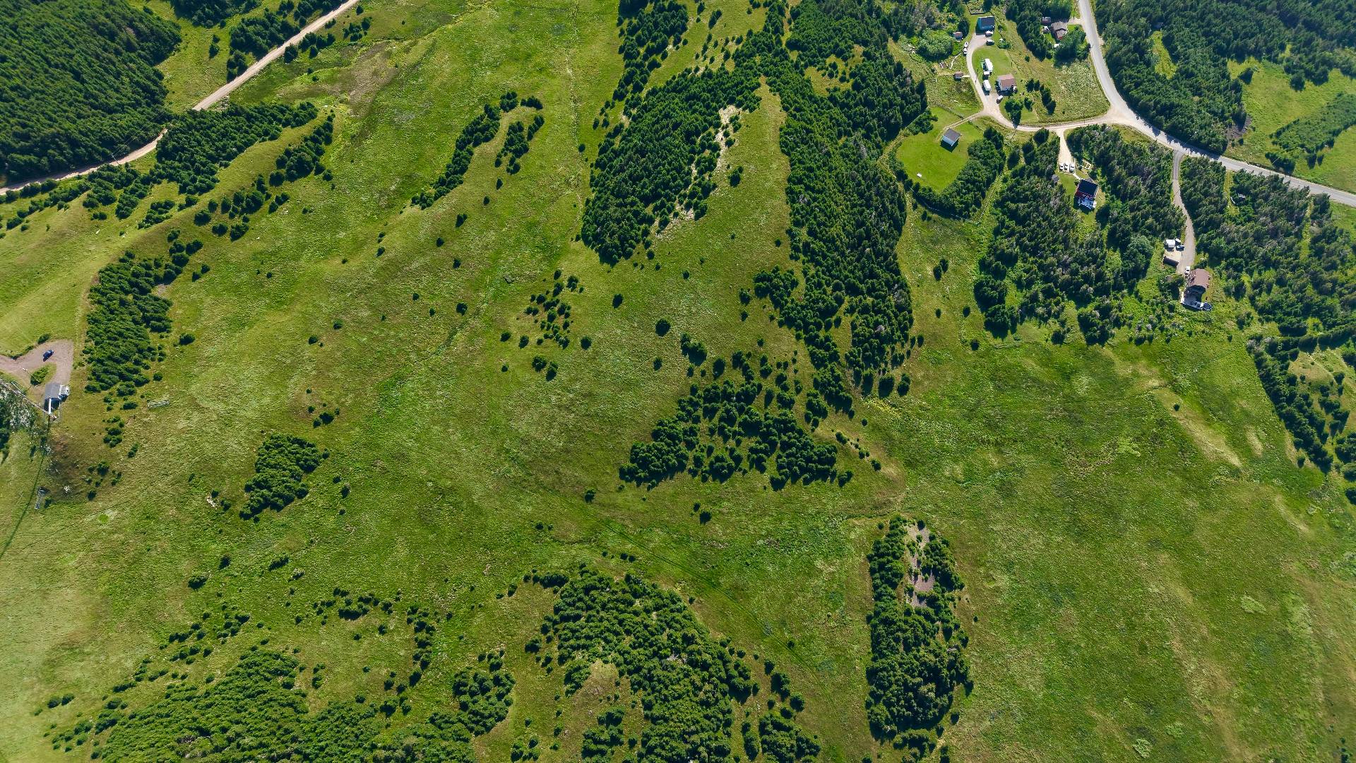 Aerial photo
