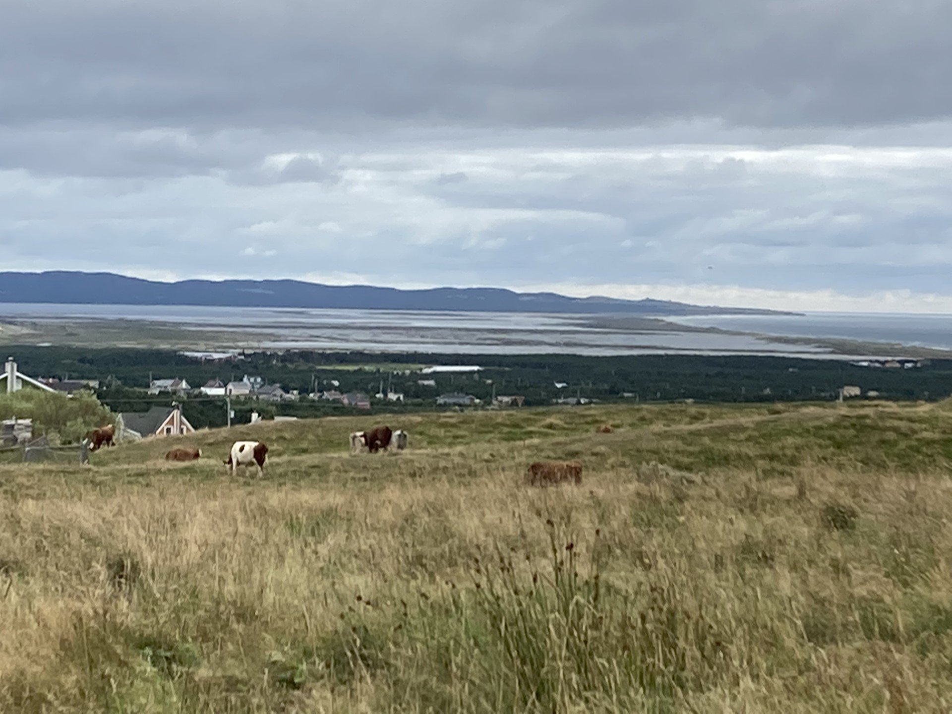Land/Lot