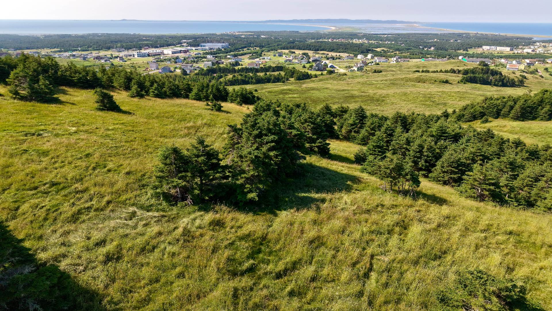 Aerial photo