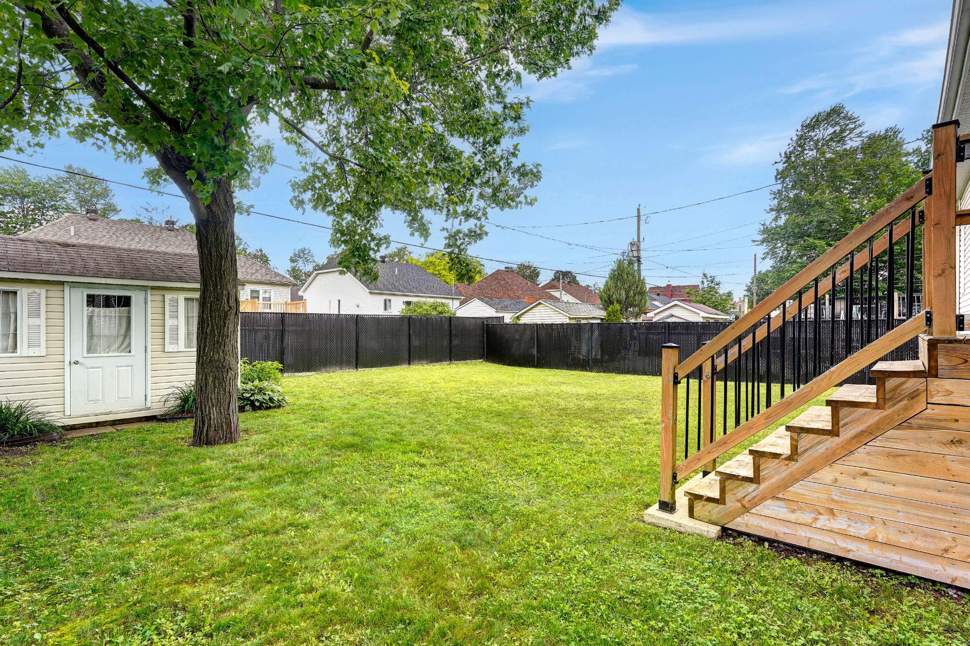 Backyard