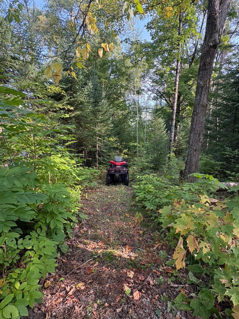 Accès au plan d'eau