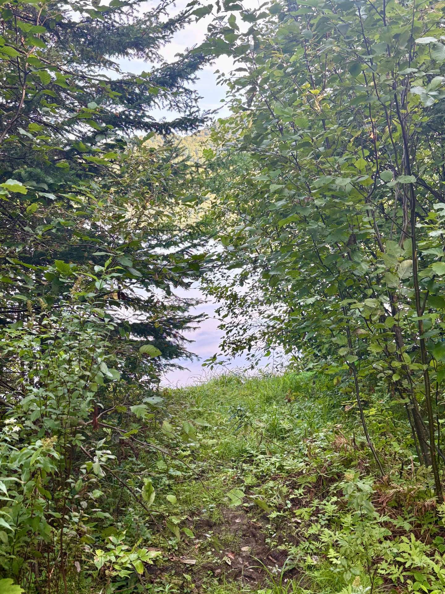 Access to a body of water