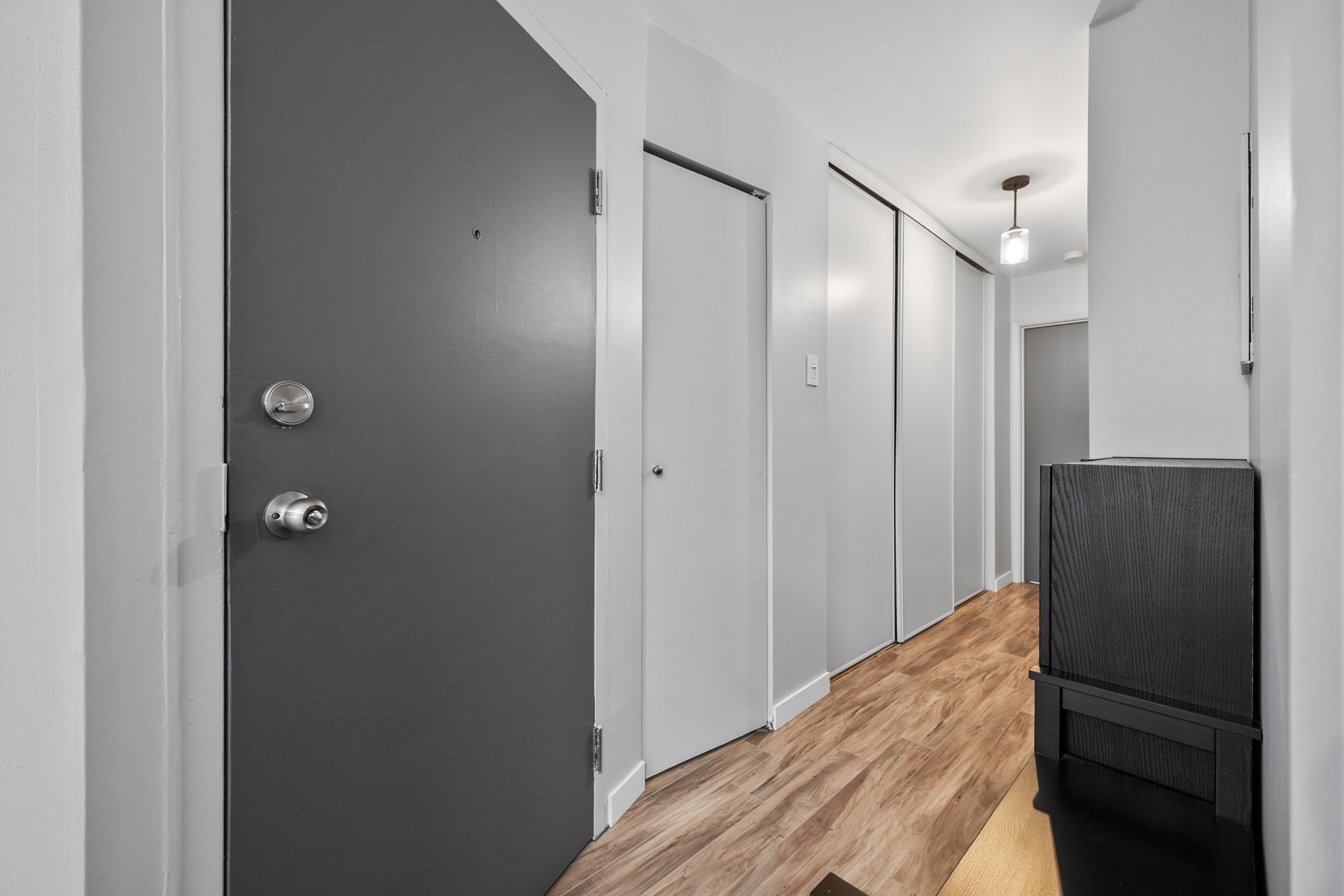 Hall d'entrée/Vestibule