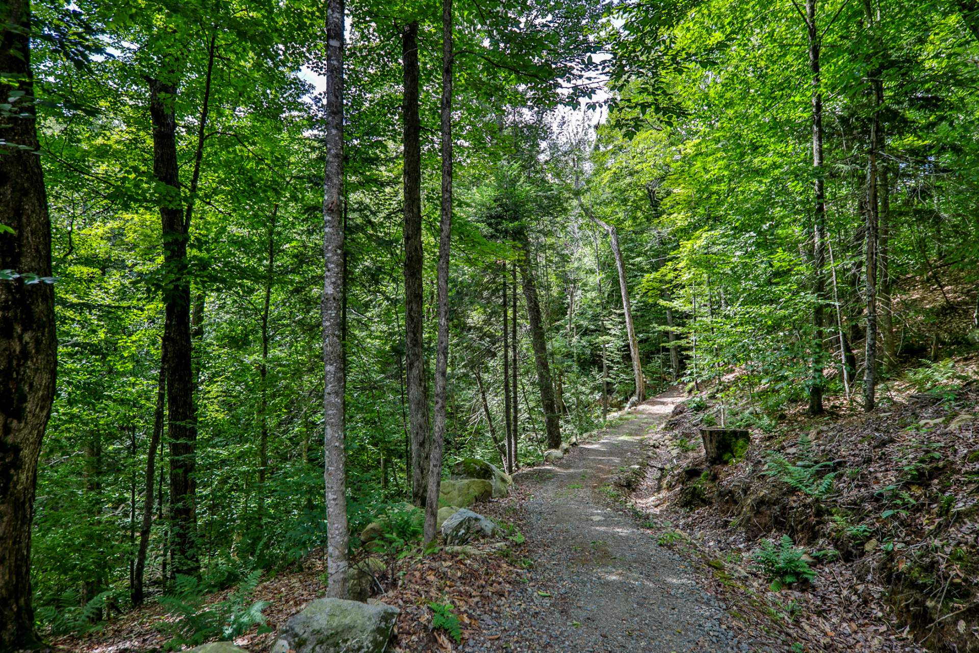 Sentiers à travers la propriété