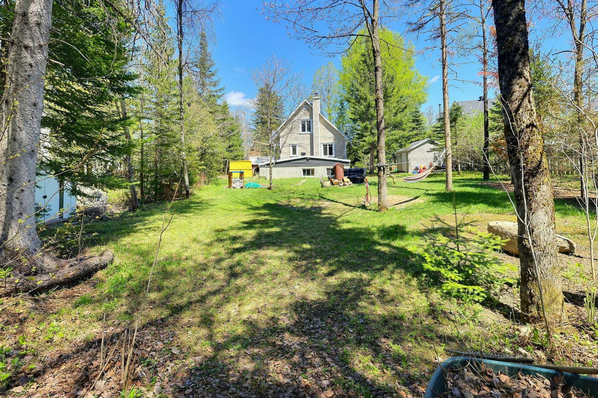 Backyard