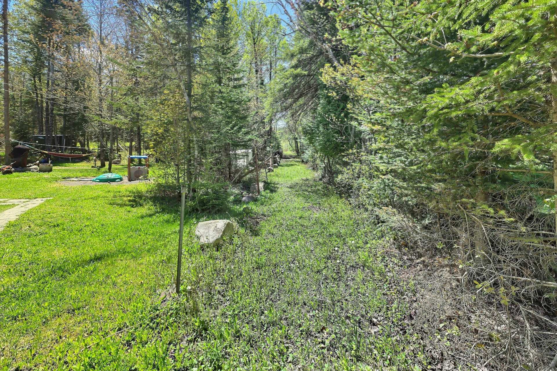 Wooded area