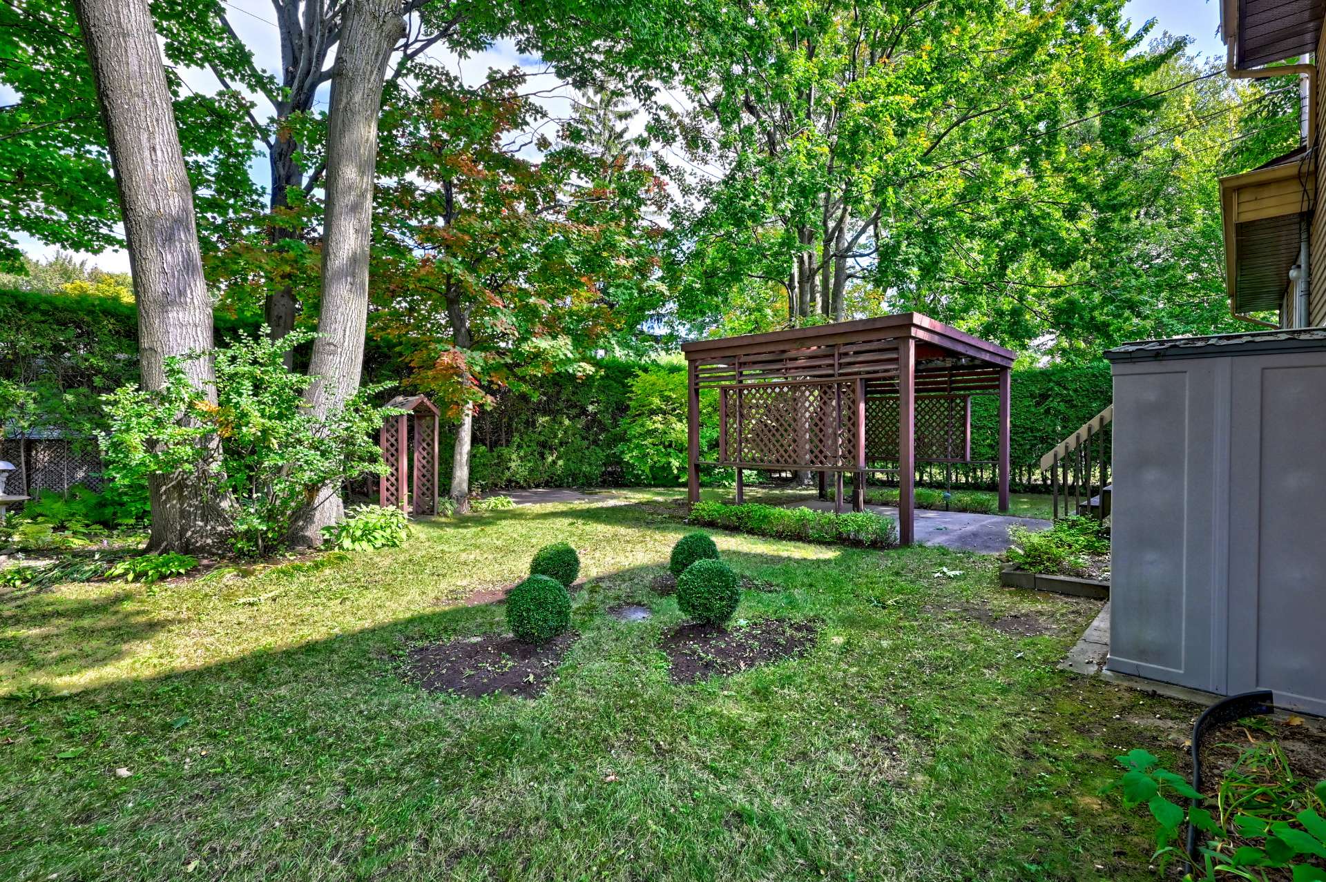 Backyard