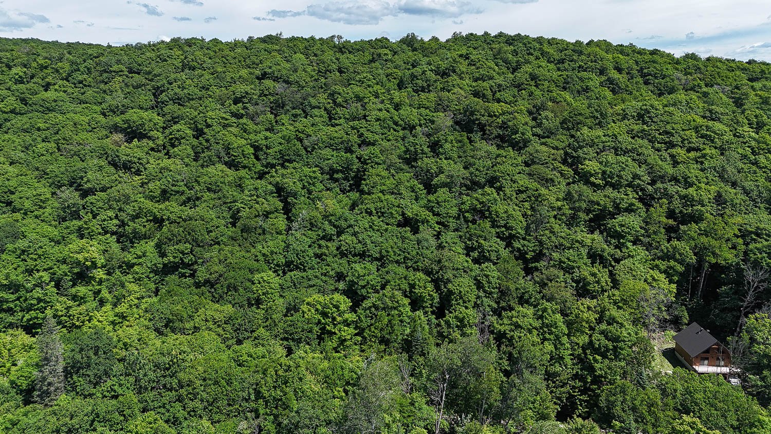 Vue d'ensemble