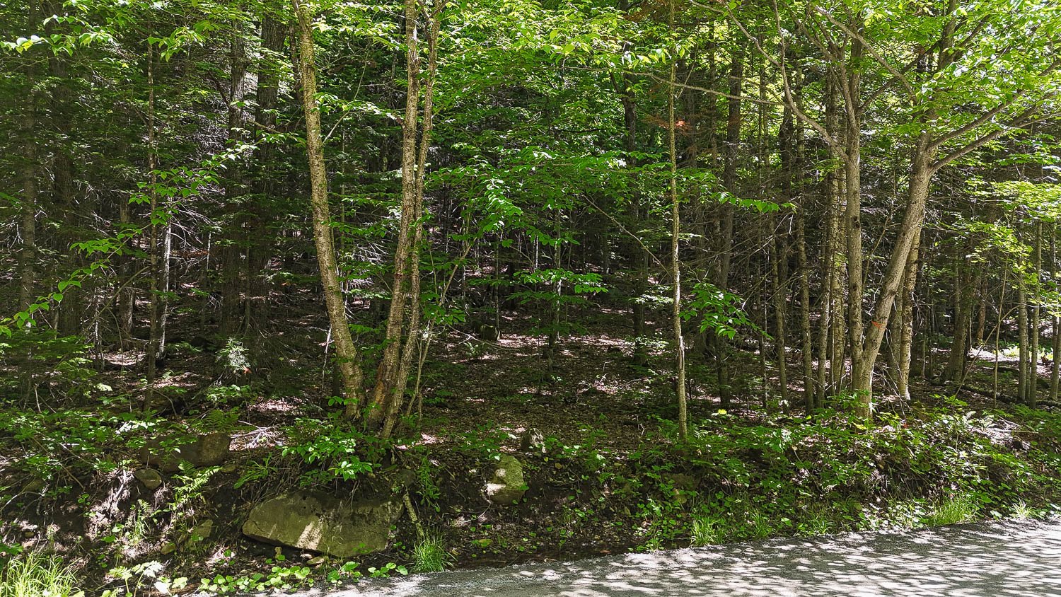 Terre/Terrain