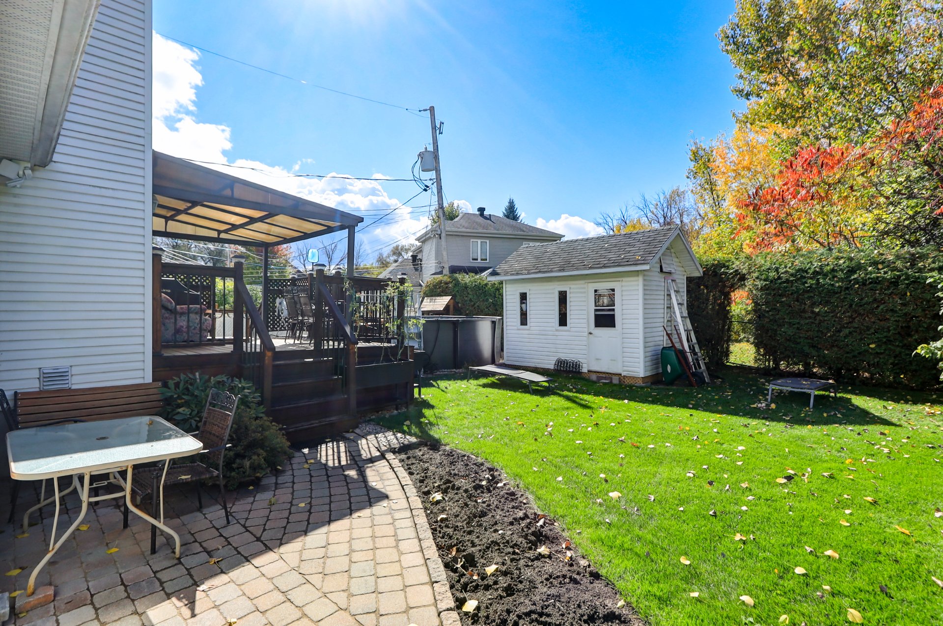 Backyard