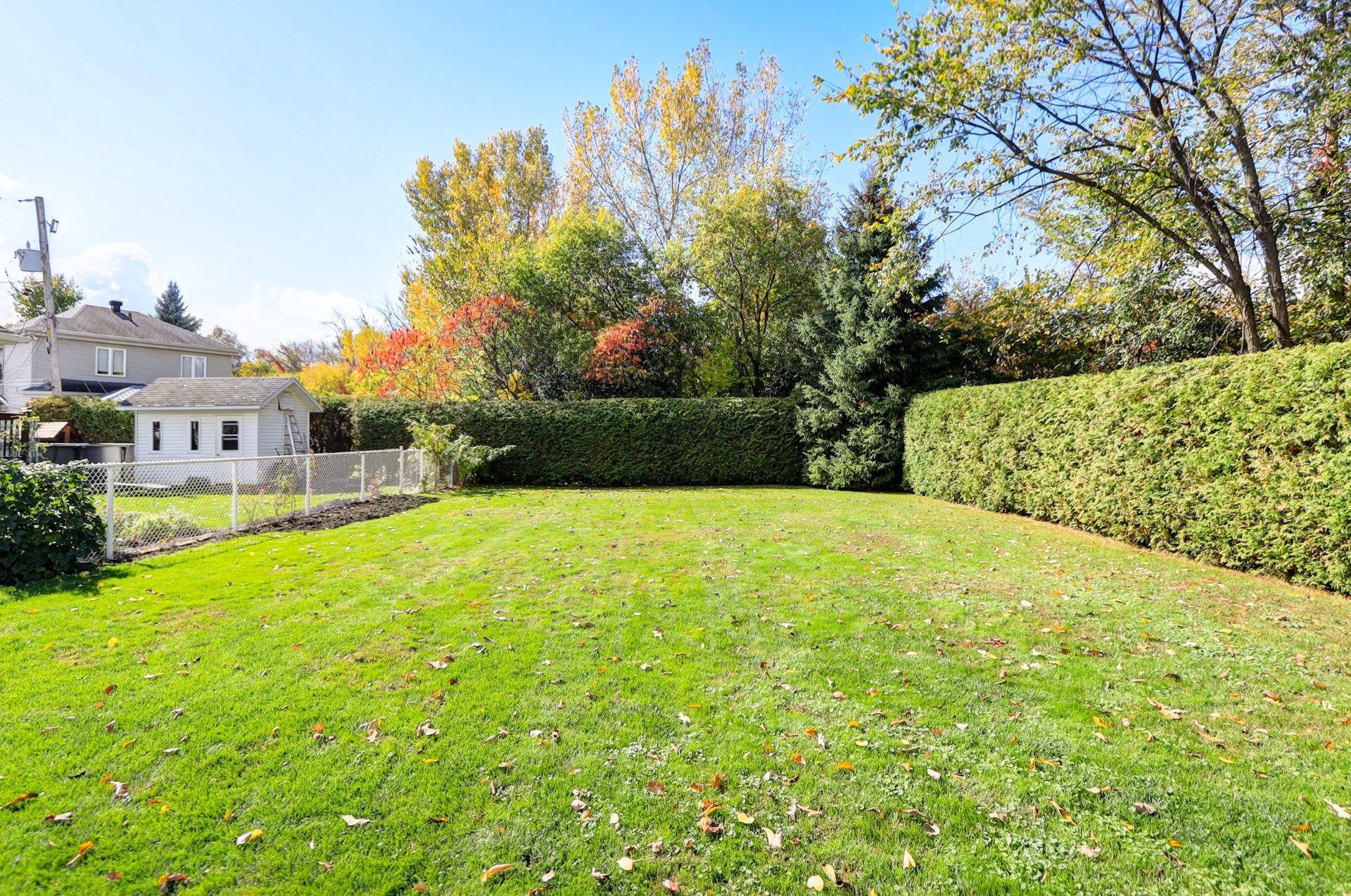 Backyard