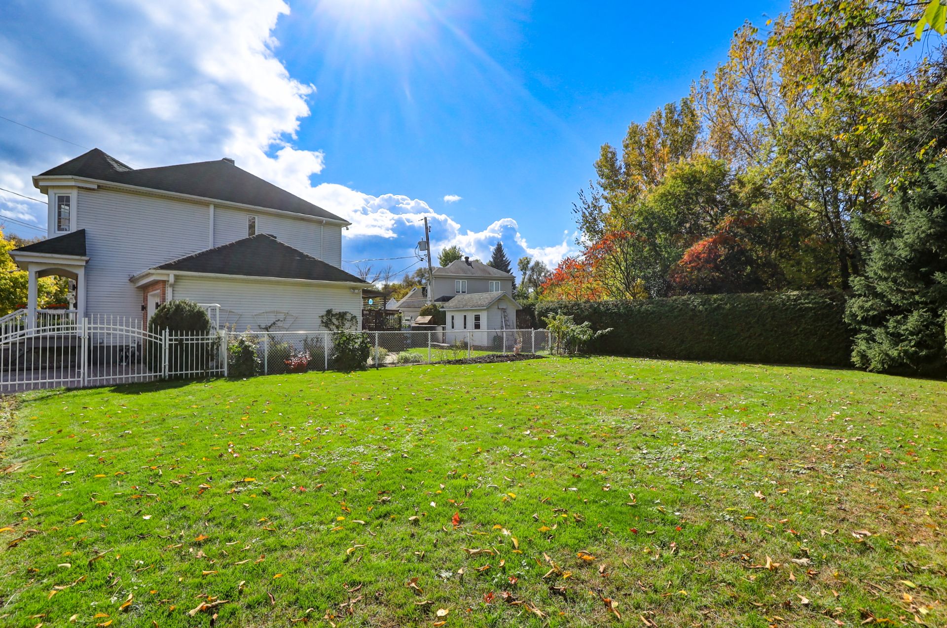 Backyard