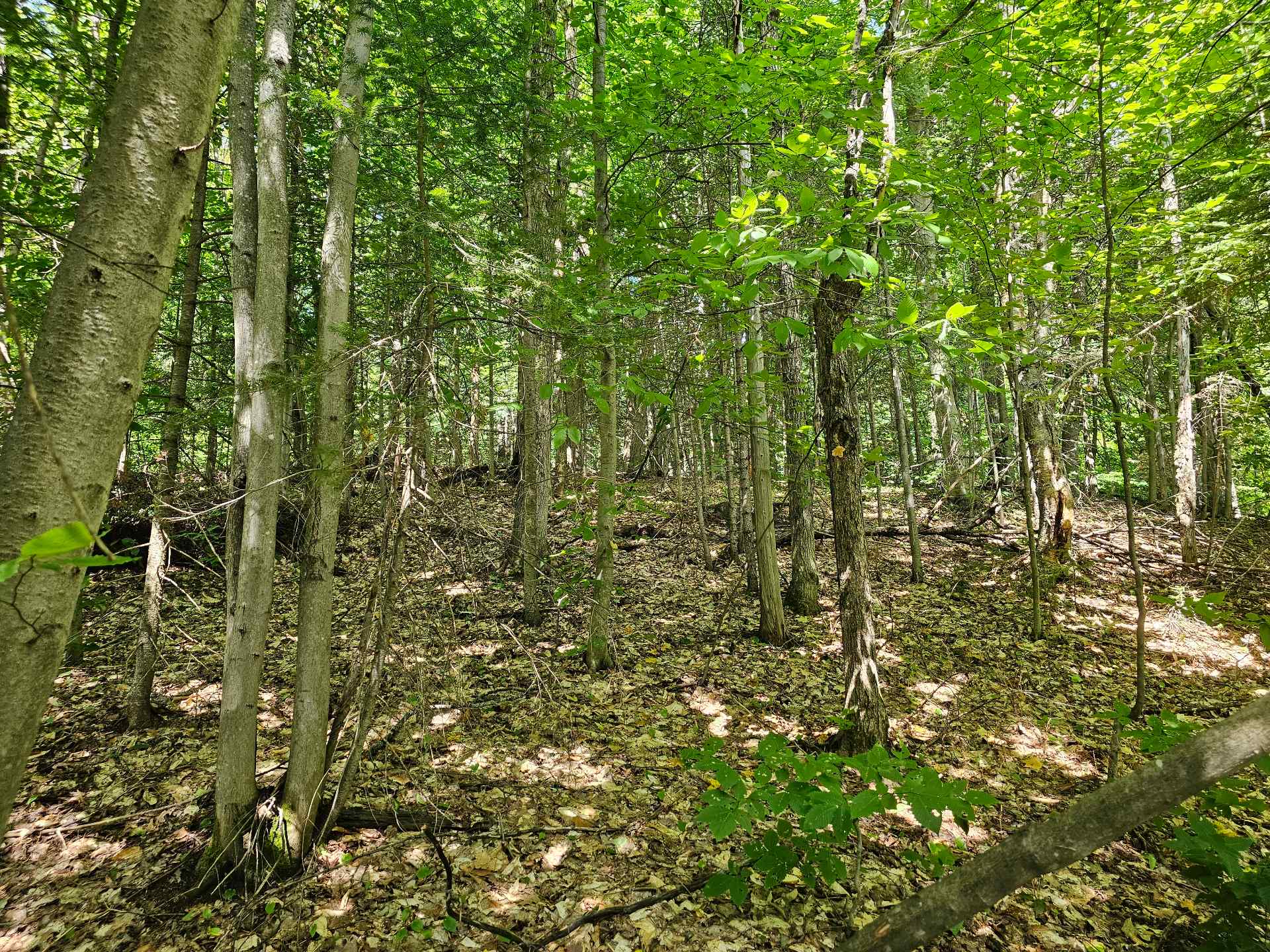Land/Lot