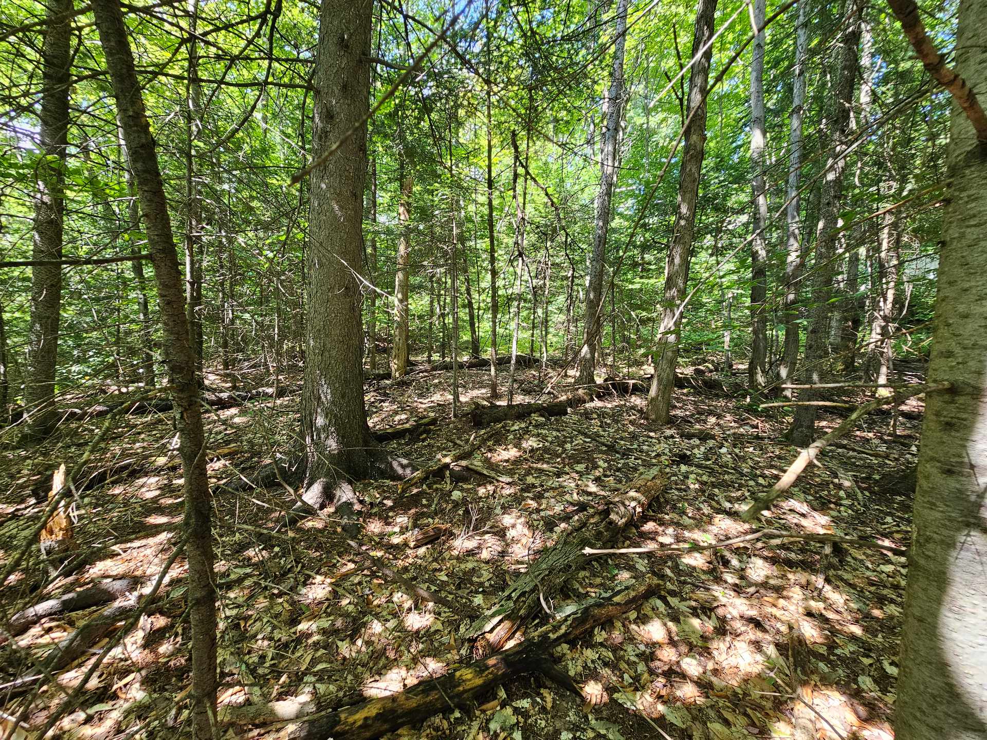 Land/Lot