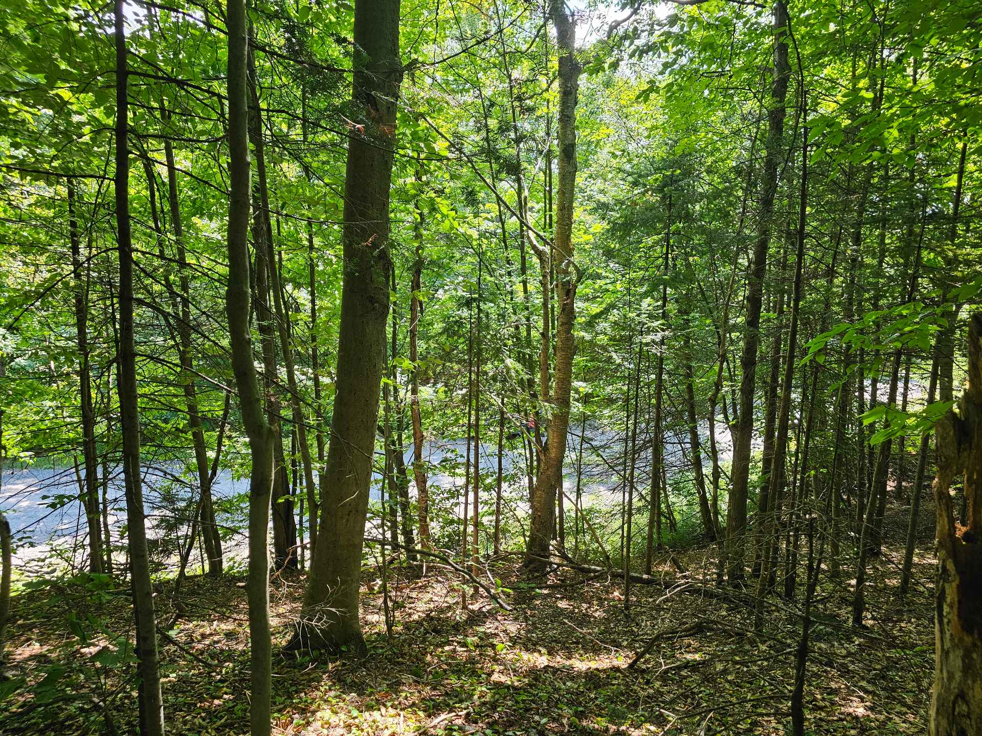 Land/Lot
