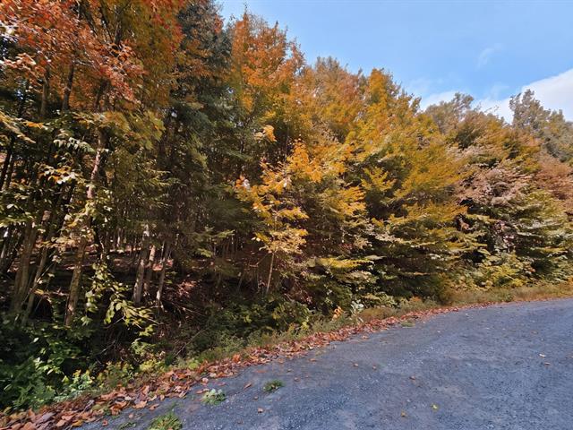 Land/Lot