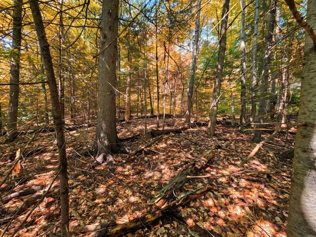 Land/Lot