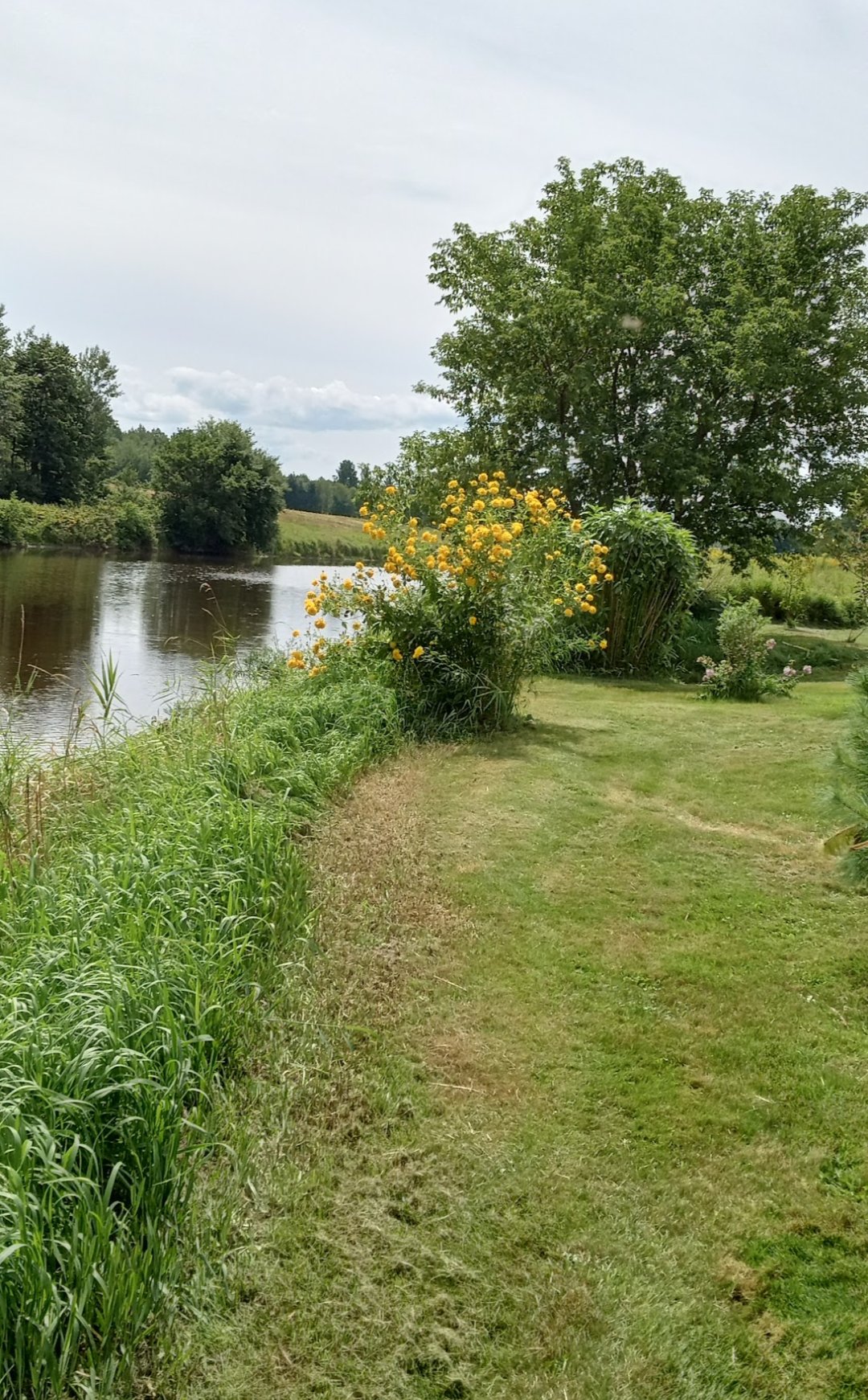 Bord de l'eau