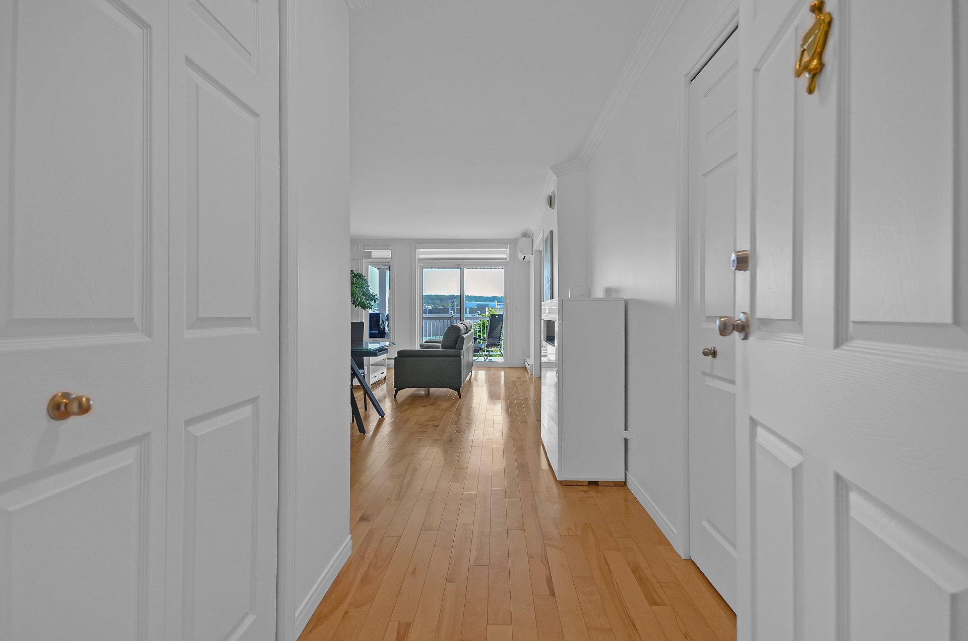 Hall d'entrée/Vestibule