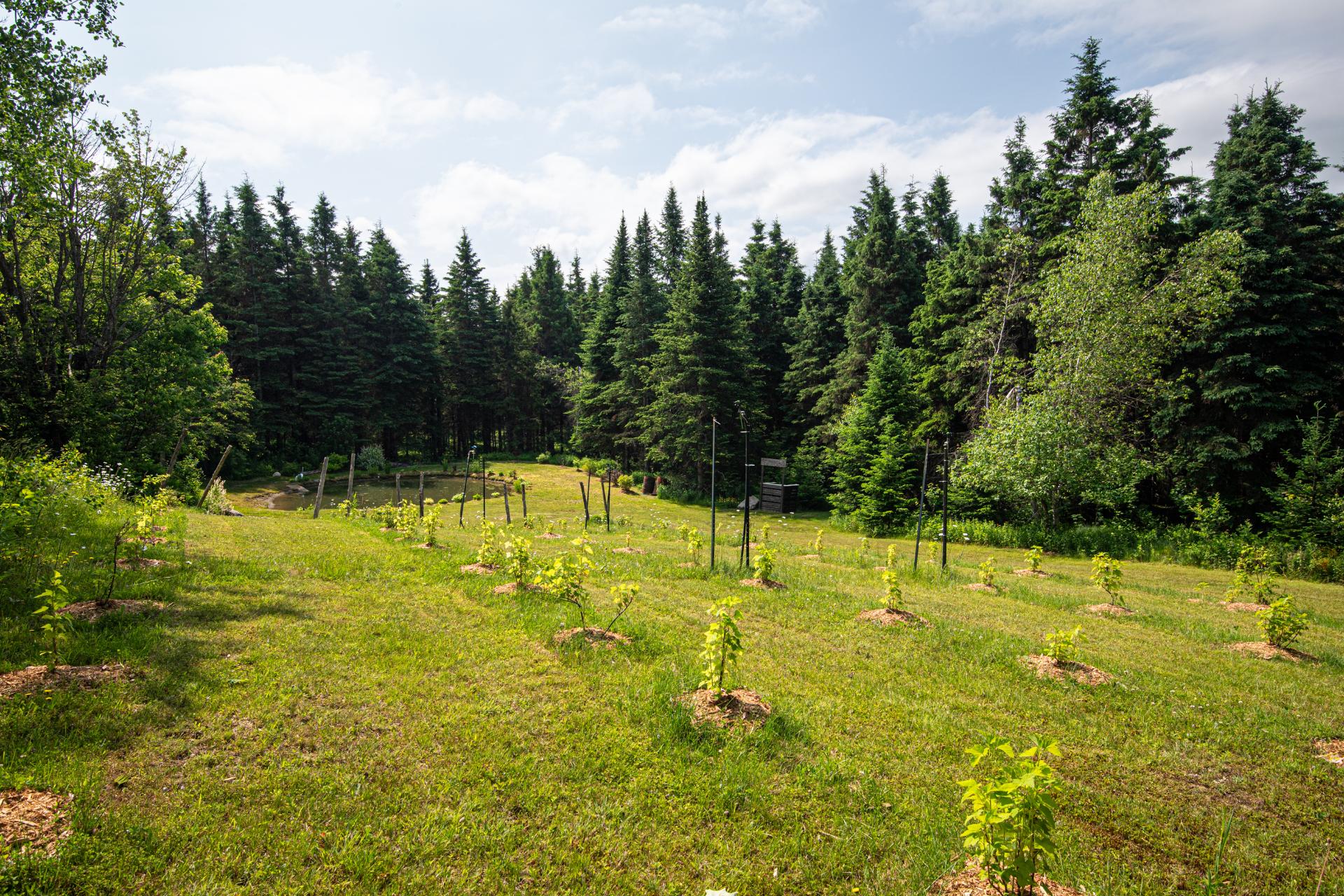 Terre/Terrain