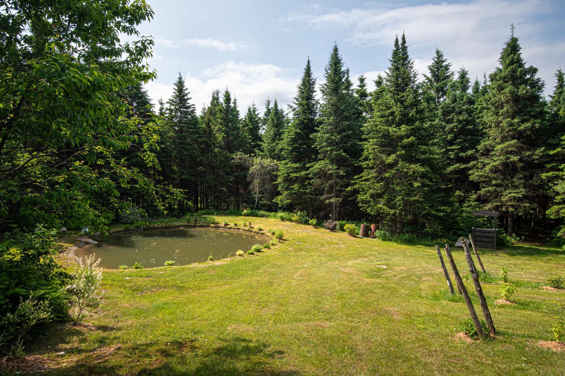 Terre/Terrain