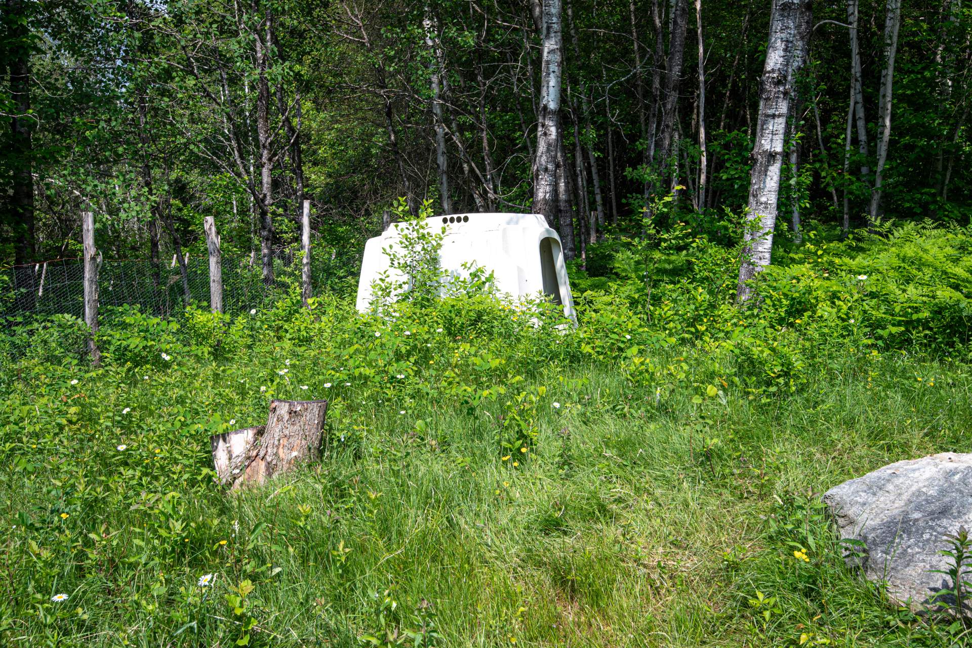 Terre/Terrain
