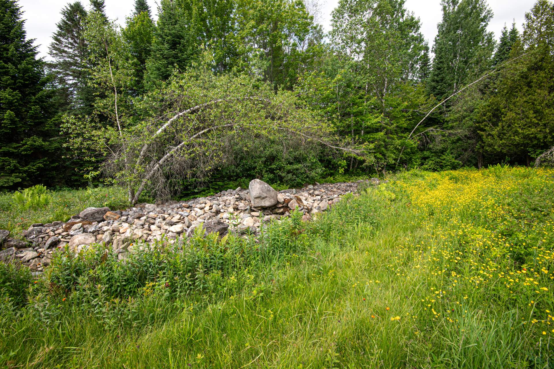 Terre/Terrain