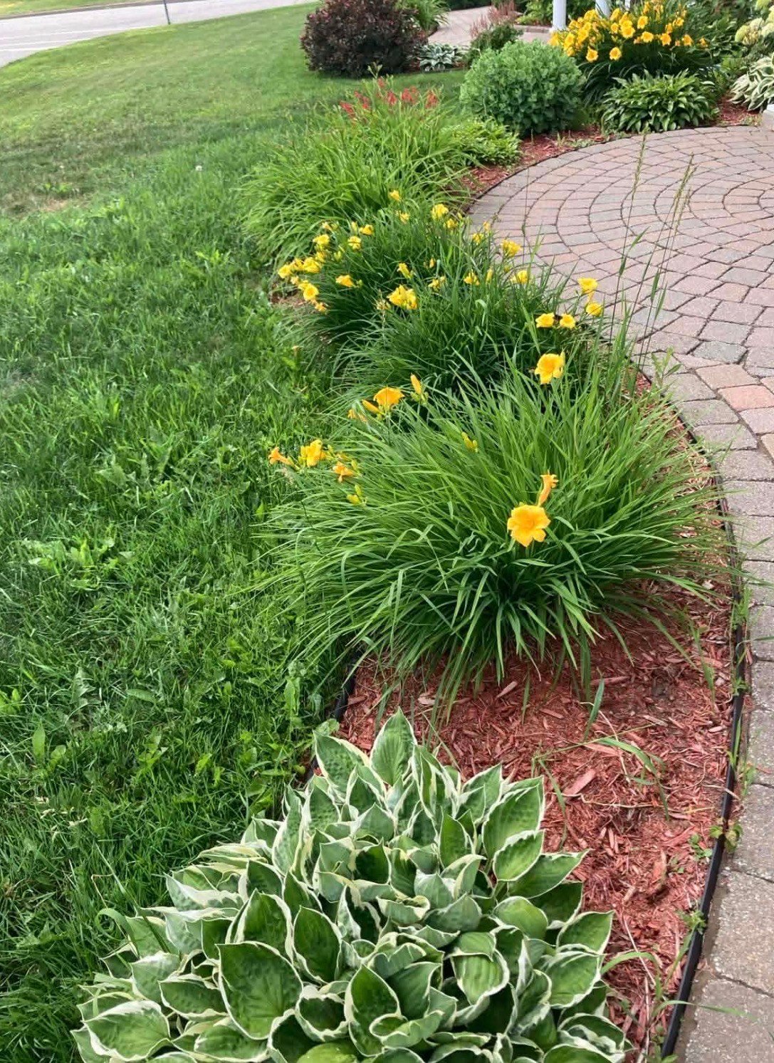 Aménagement paysager