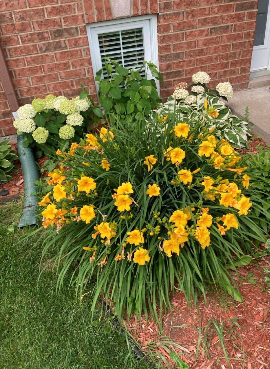 Aménagement paysager