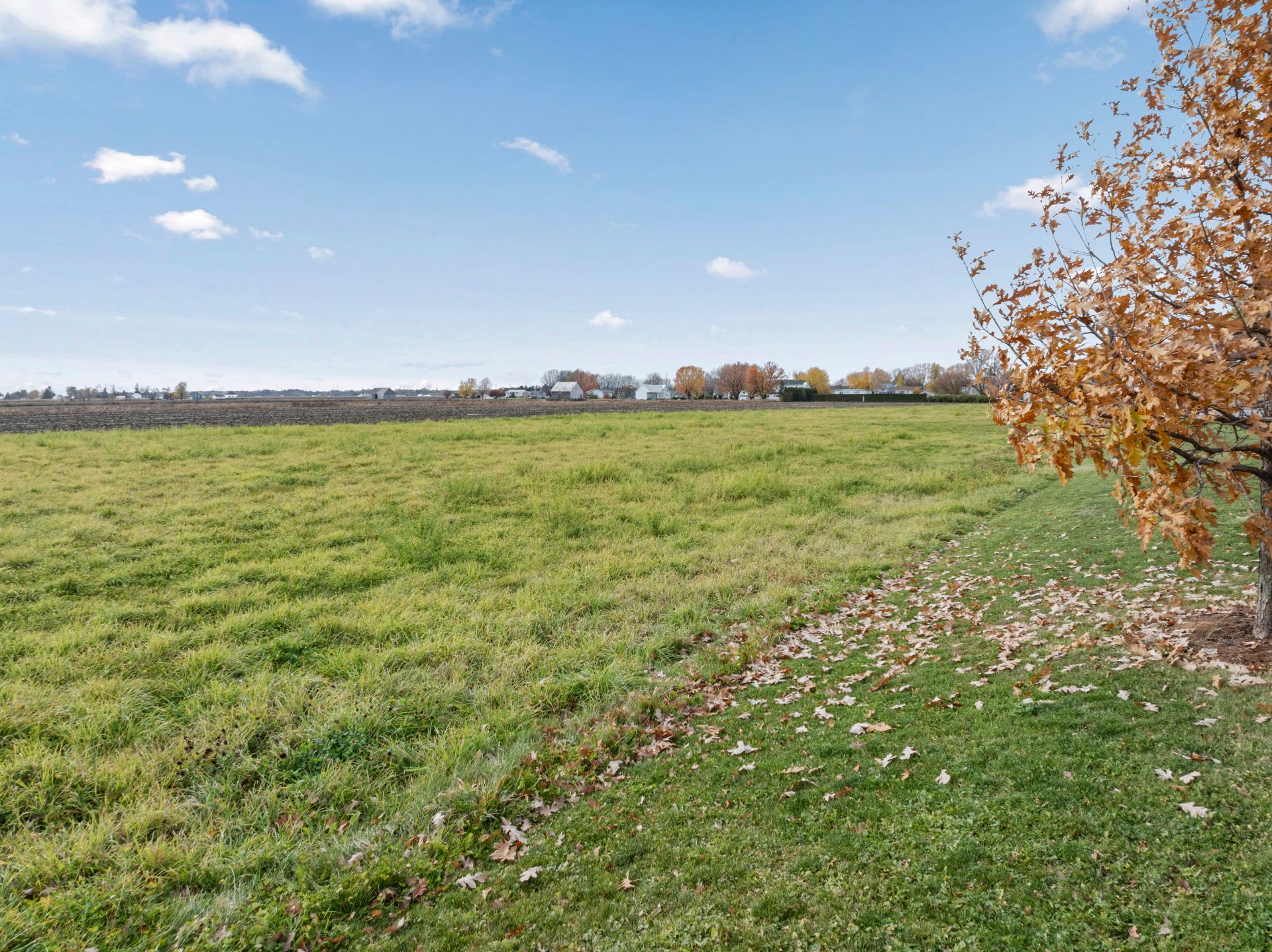 Photo d'automne