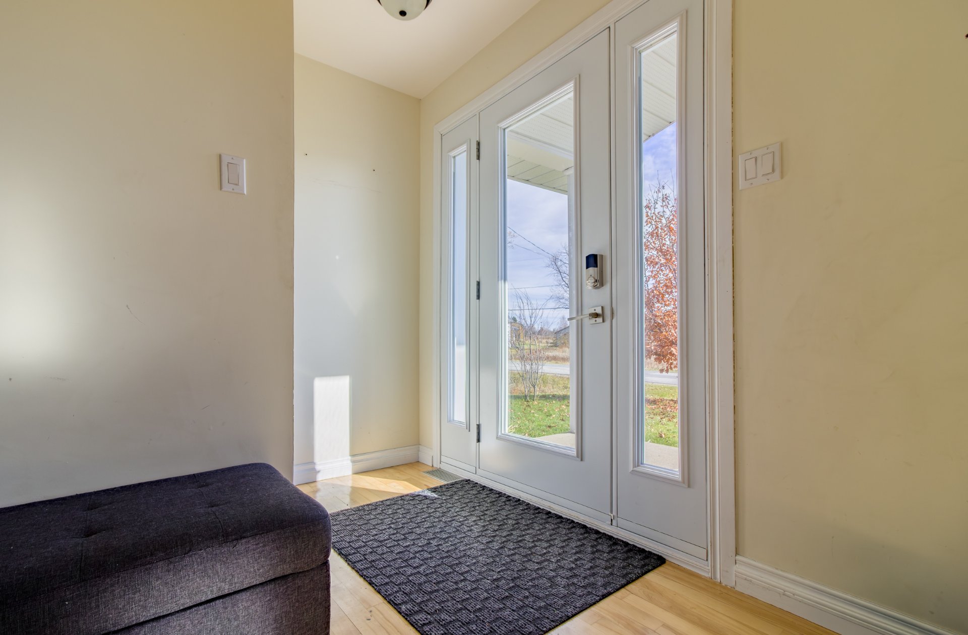 Hall d'entrée/Vestibule