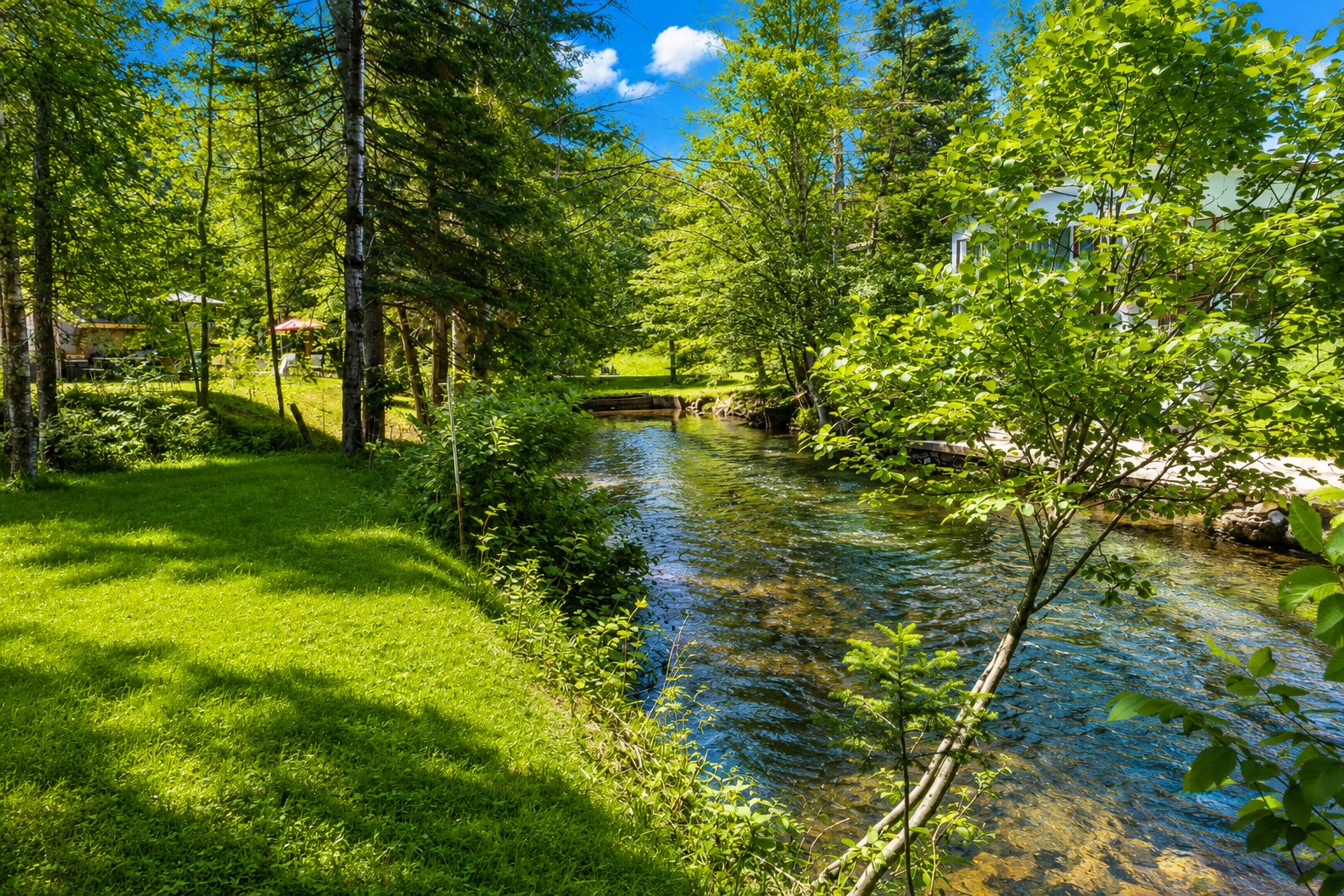 Vue sur l'eau