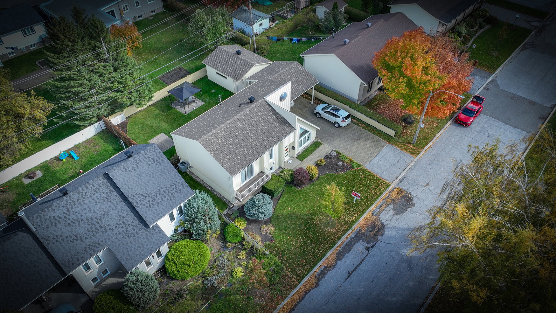 Overall View