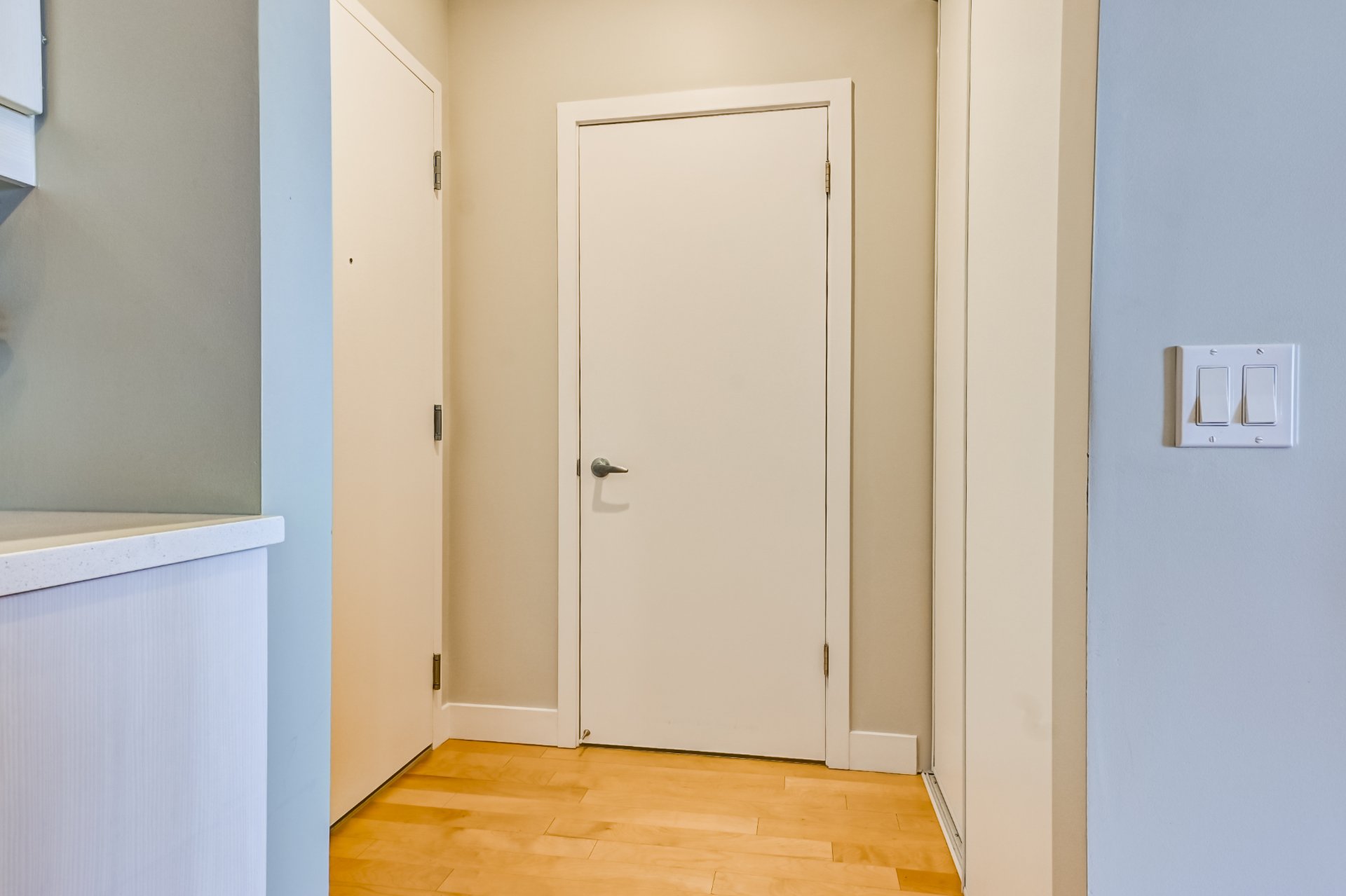 Hall d'entrée/Vestibule