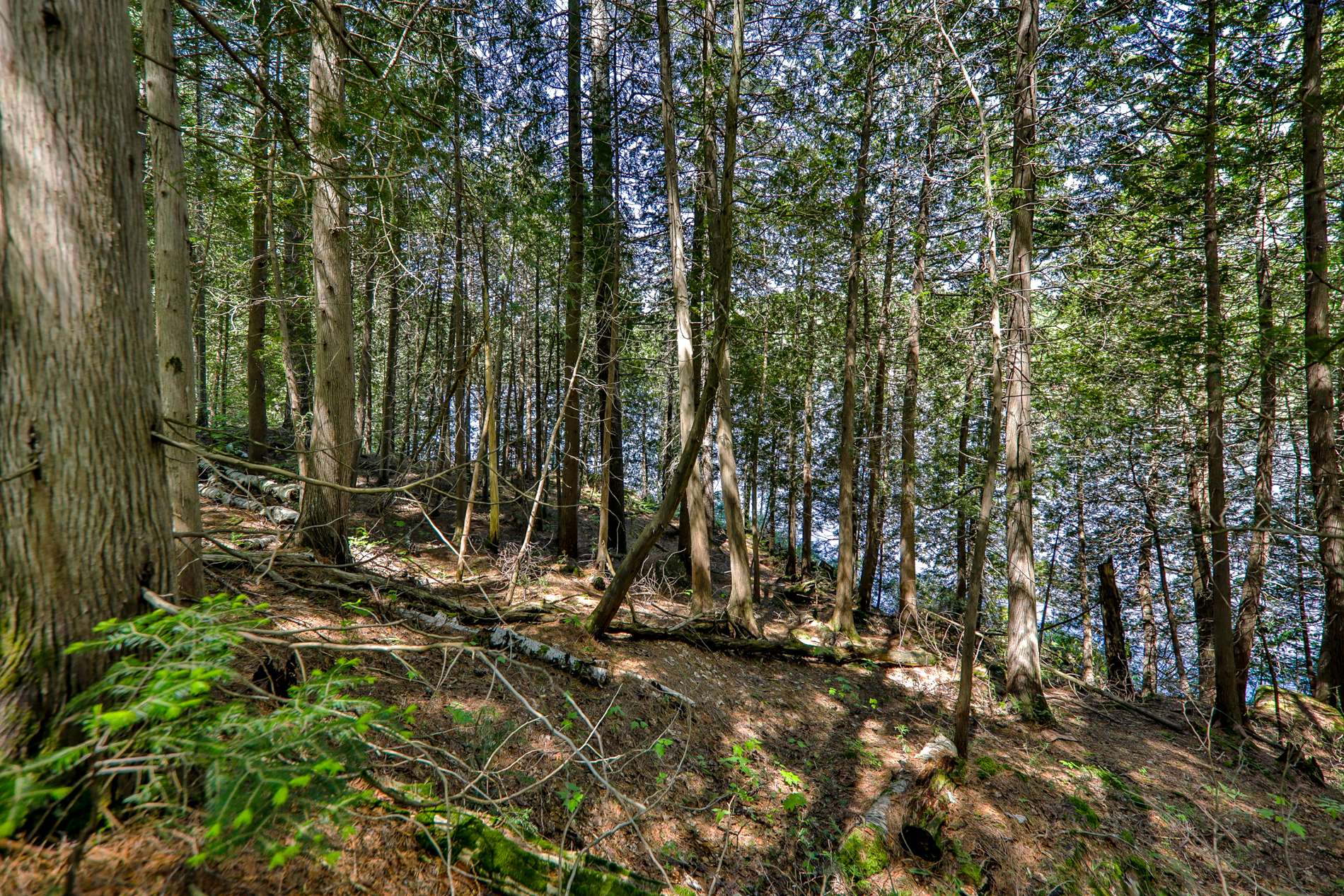 Terre/Terrain