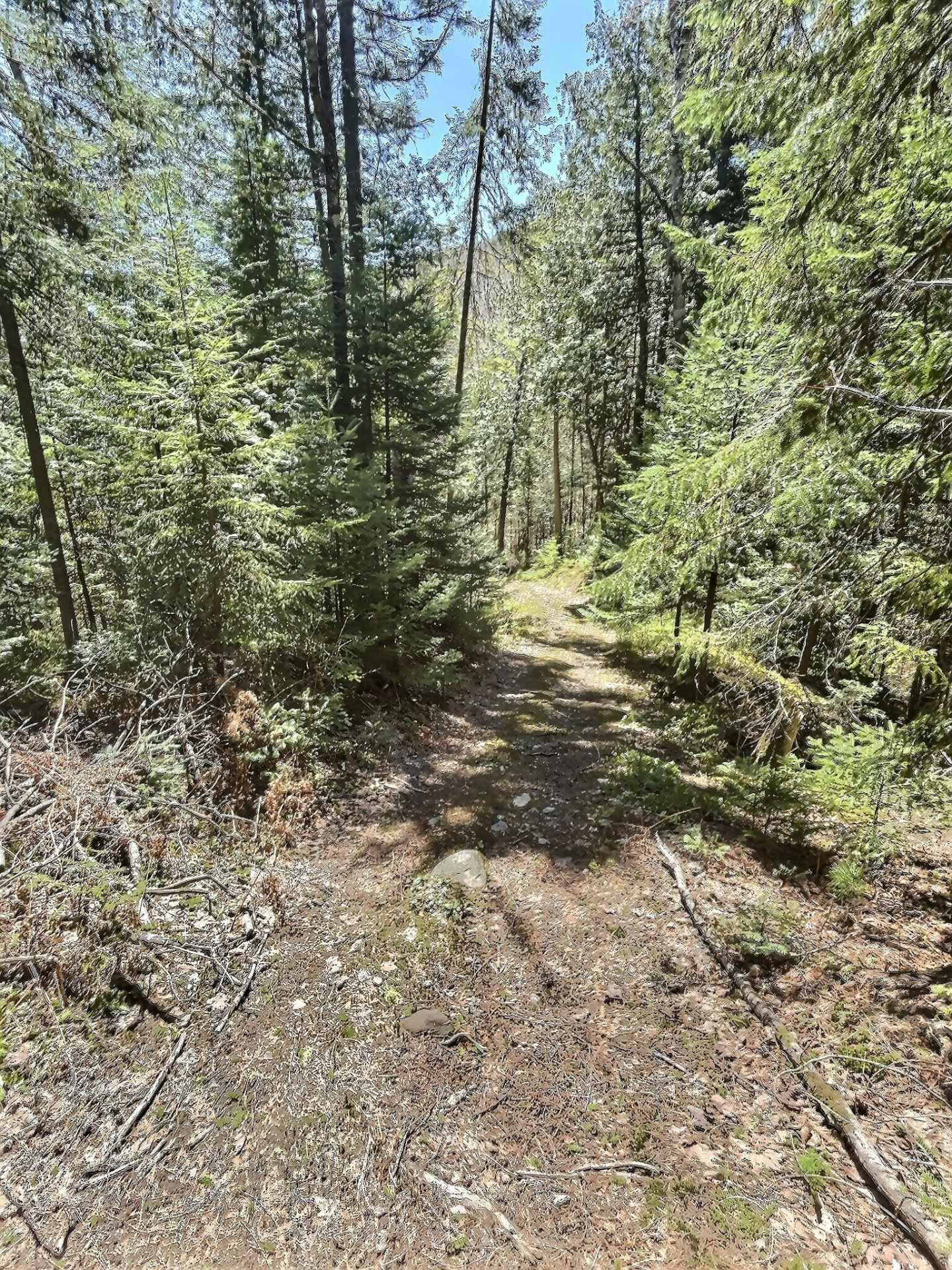 Chemin pour le chalet