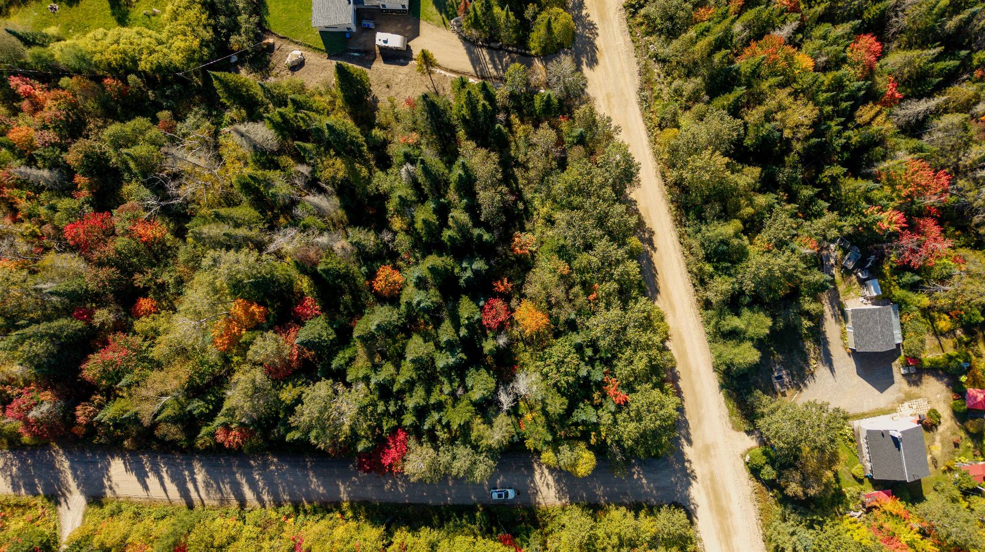 Terre/Terrain