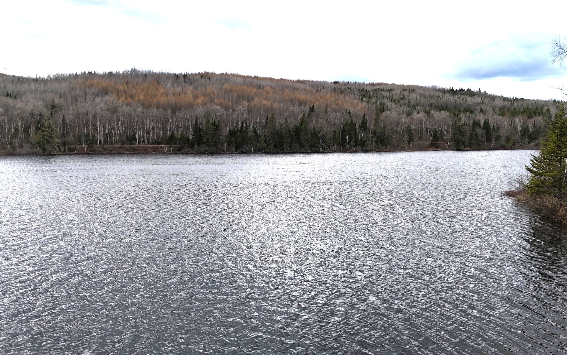 Vue sur l'eau