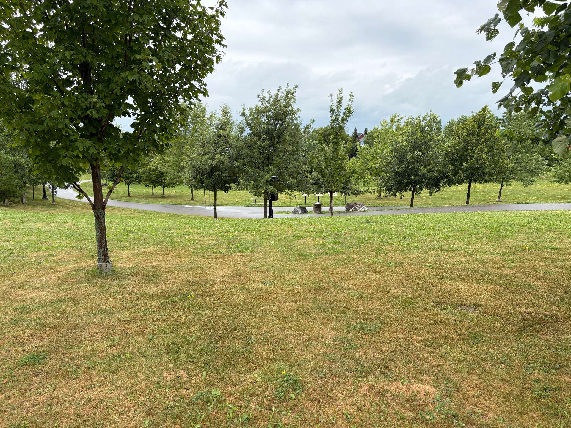 Espace vert