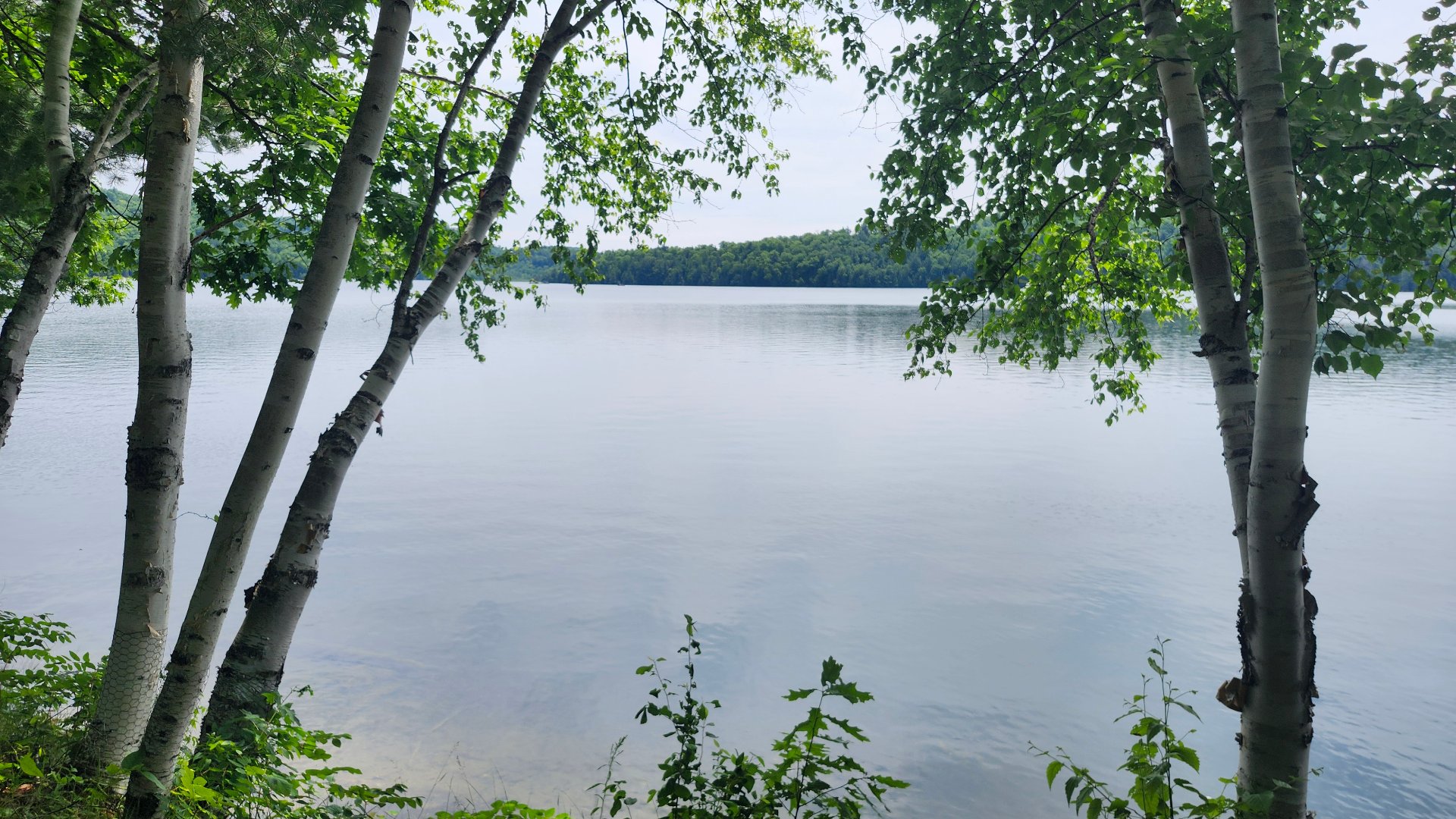 Water view