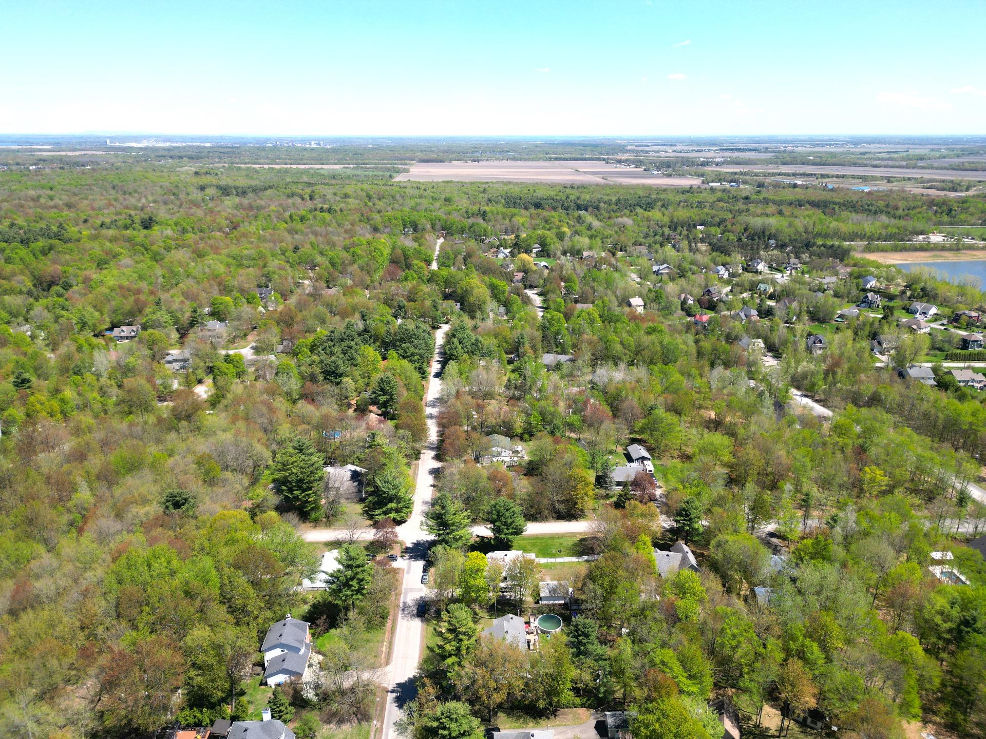 Overall View