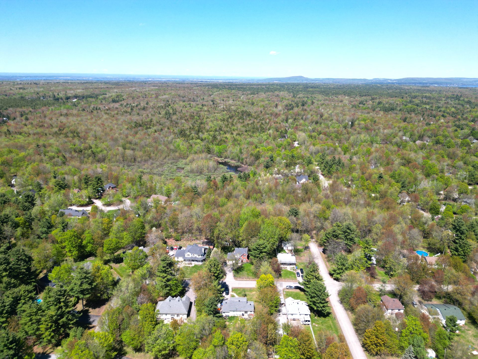 Overall View