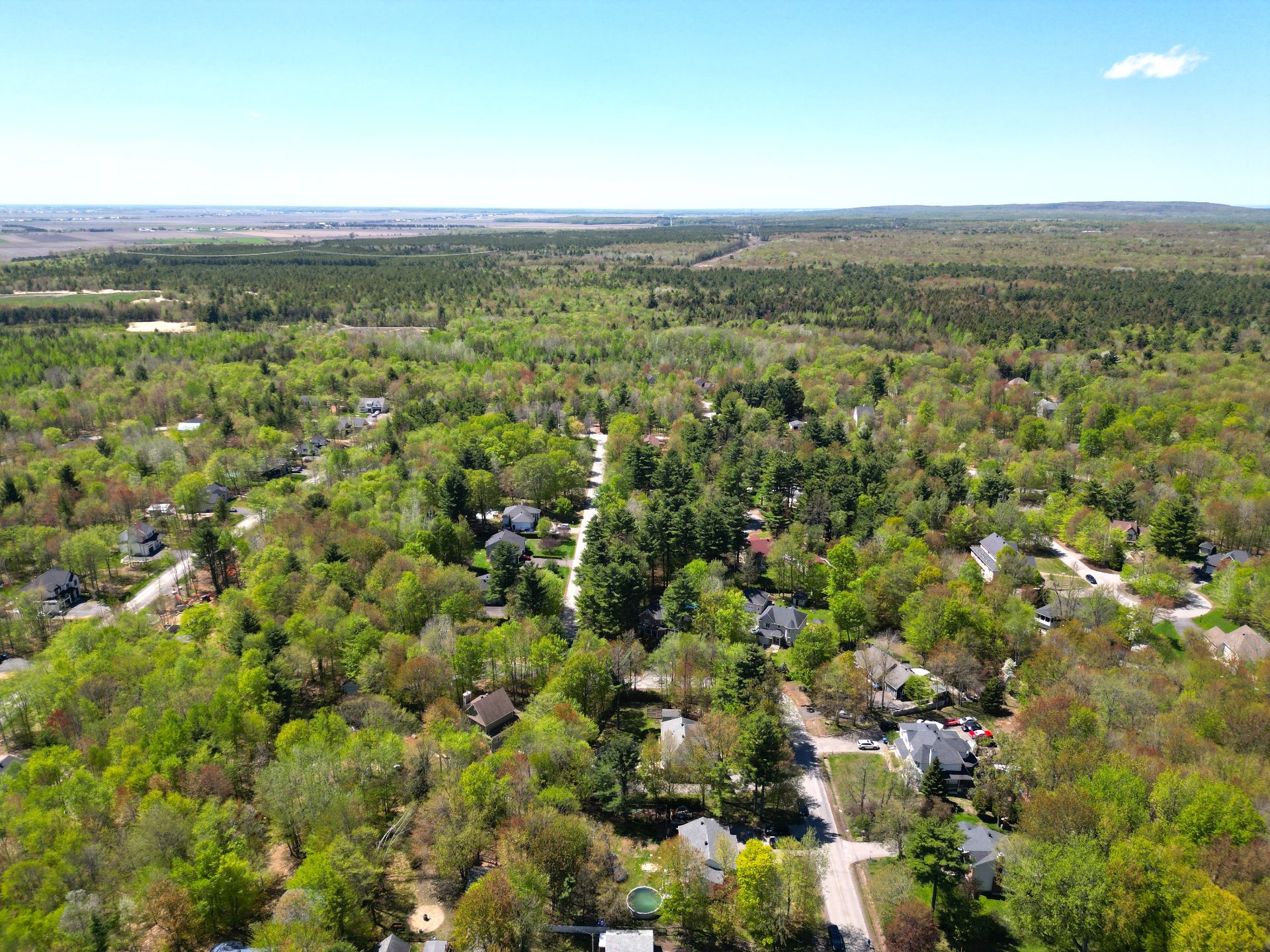 Overall View