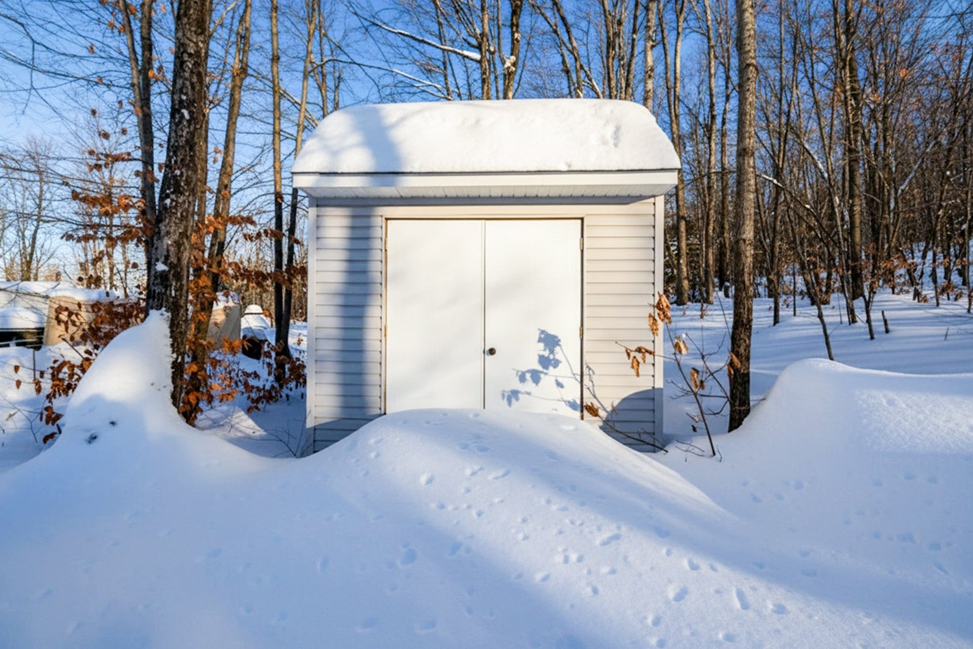 Shed