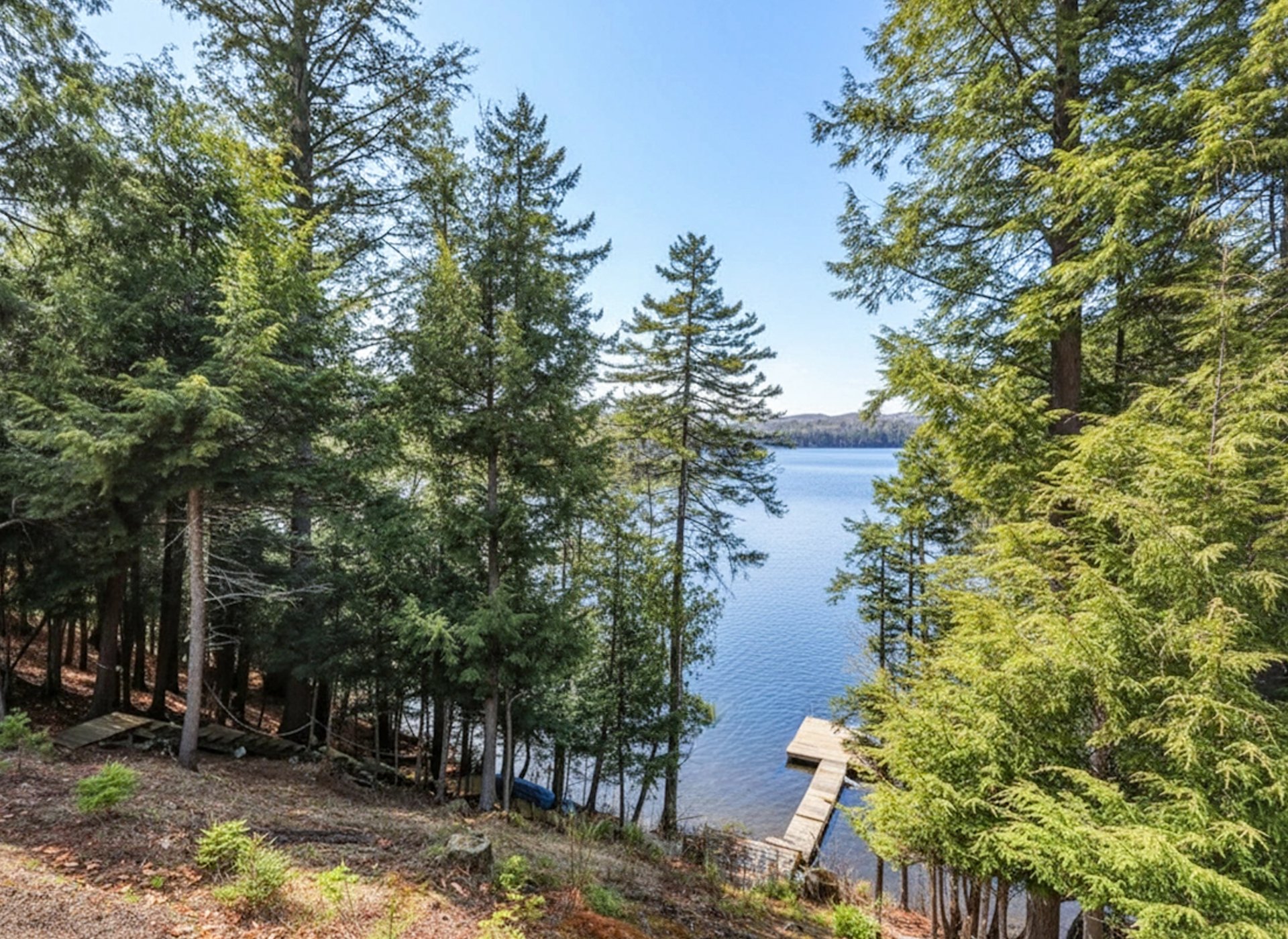 Water view