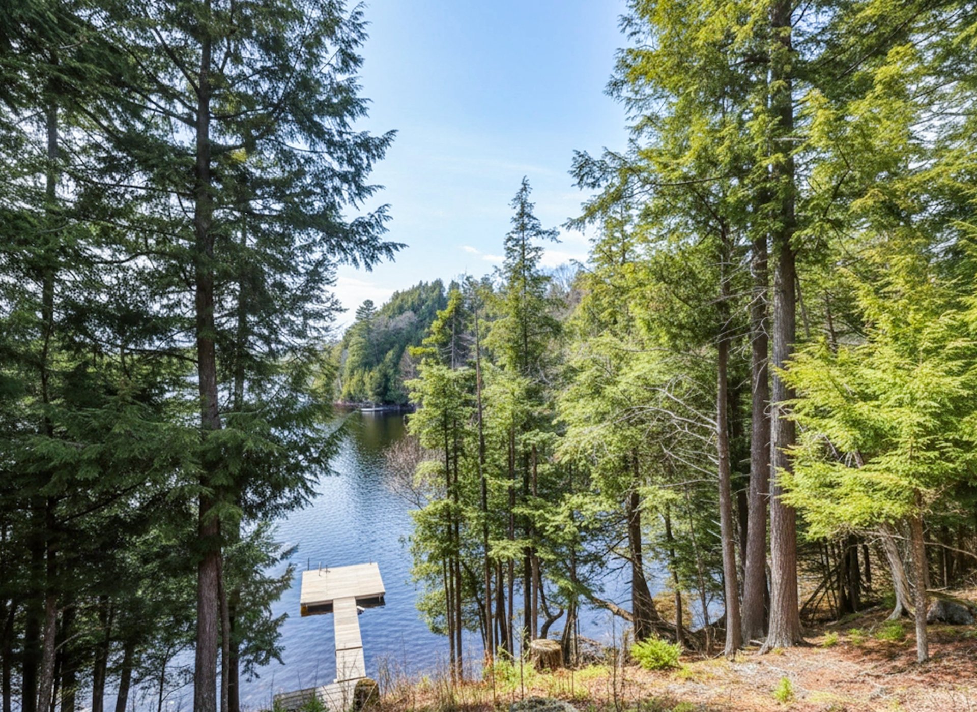 Water view
